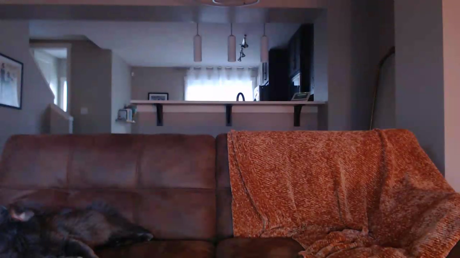 Gallery image thumbnail from AlexisWildest's myfreecams stream on, 05/22/2026, 03:28 image 18 of 20