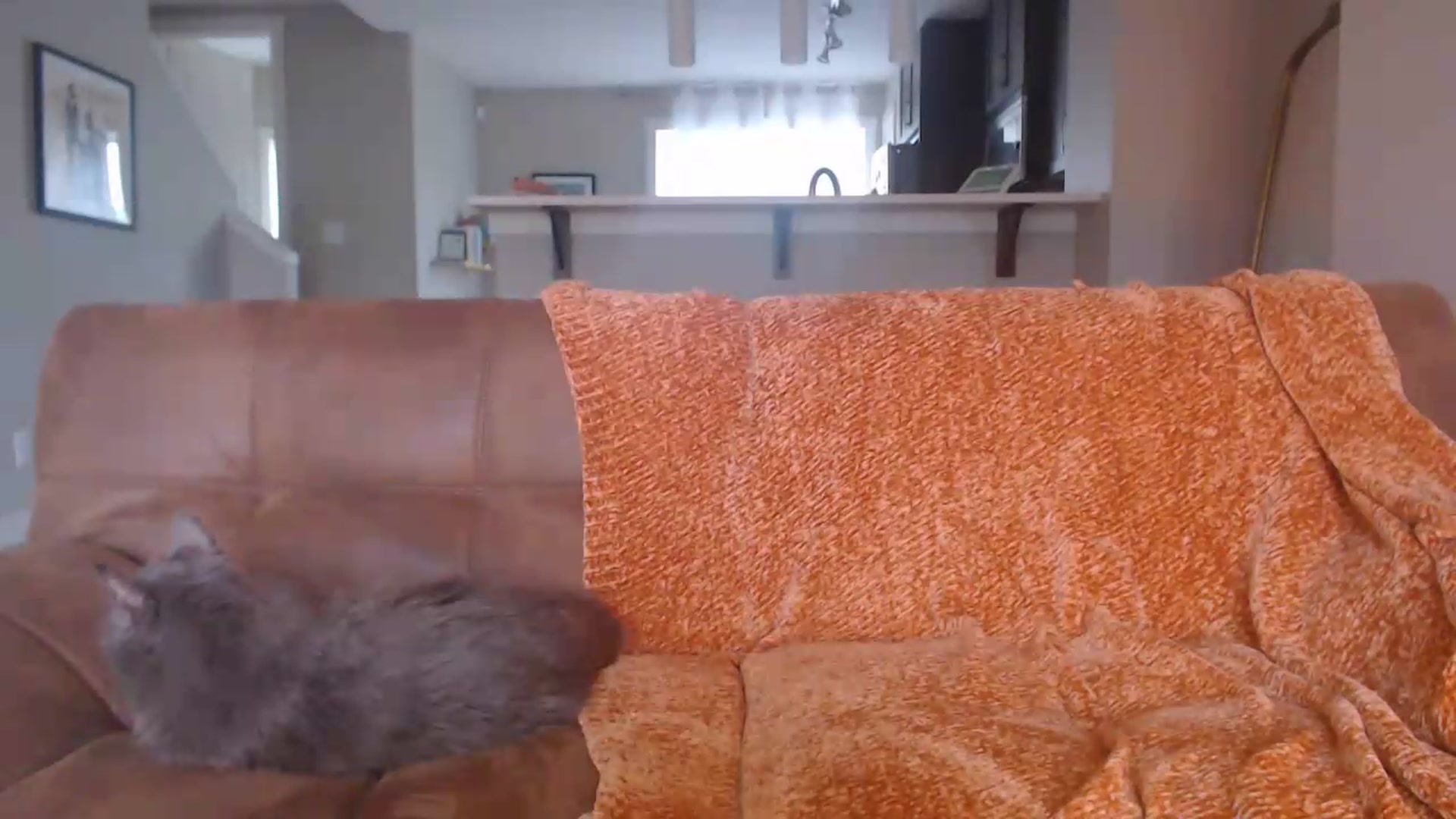 Gallery image thumbnail from AlexisWildest's myfreecams stream on, 06/03/2026, 01:43 image 16 of 20