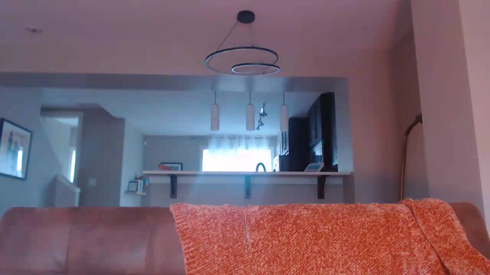 Gallery image thumbnail from AlexisWildest's myfreecams stream on, 06/03/2026, 03:31 image 6 of 20