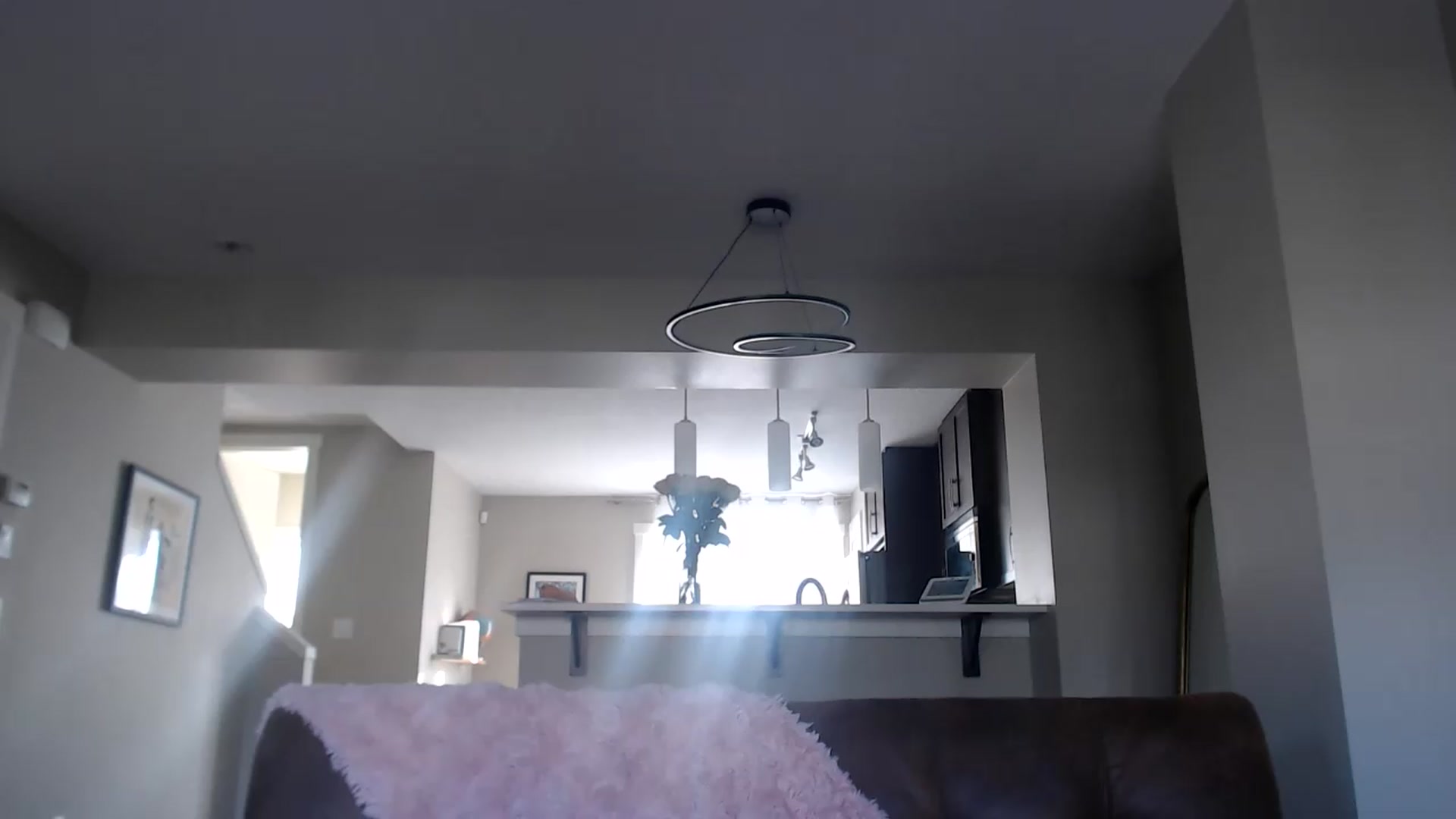 Gallery image thumbnail from AlexisWildest's myfreecams stream on, 06/05/2026, 01:42 image 17 of 20