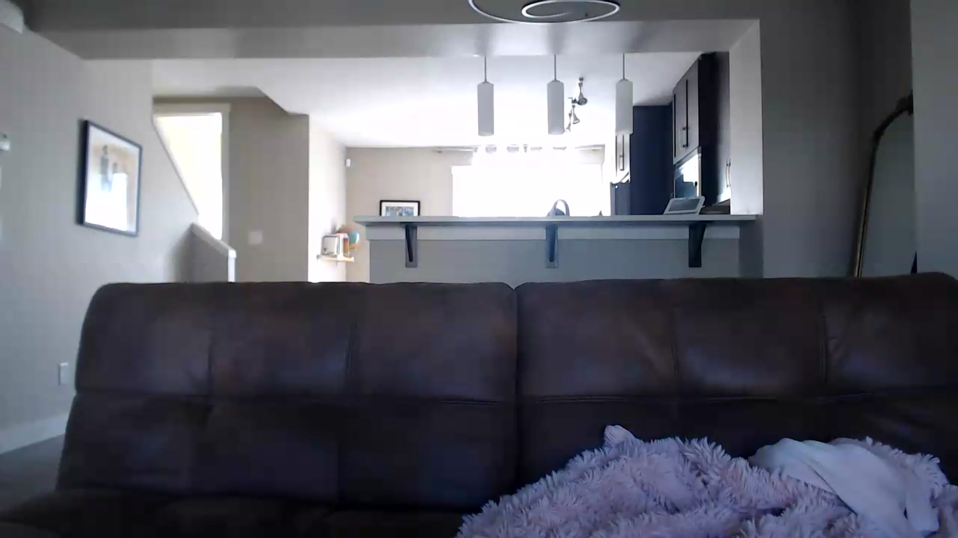 Gallery image thumbnail from AlexisWildest's myfreecams stream on, 07/12/2026, 24:01 image 13 of 20