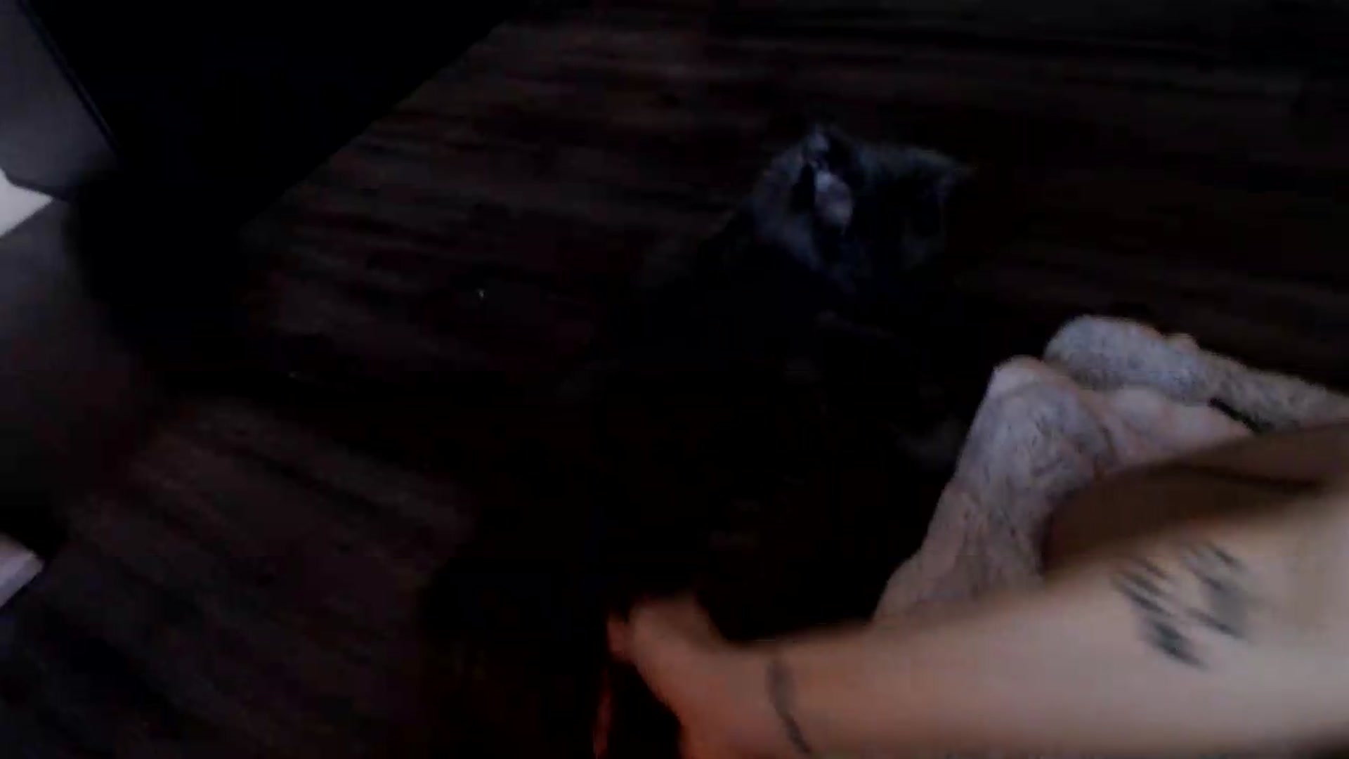 Gallery image thumbnail from AlexisWildest's myfreecams stream on, 07/30/2026, 05:10 image 8 of 20