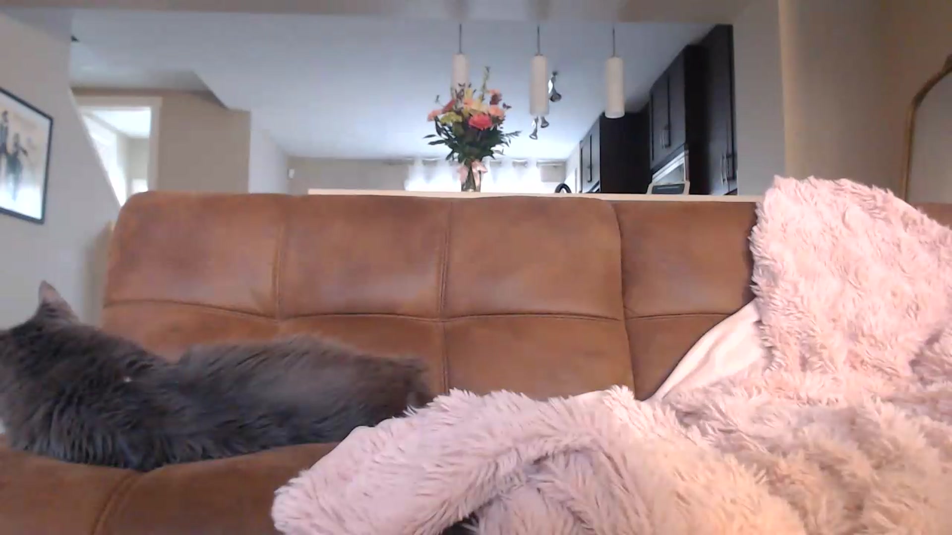 Gallery image thumbnail from AlexisWildest's myfreecams stream on, 08/18/2026, 03:11 image 11 of 20
