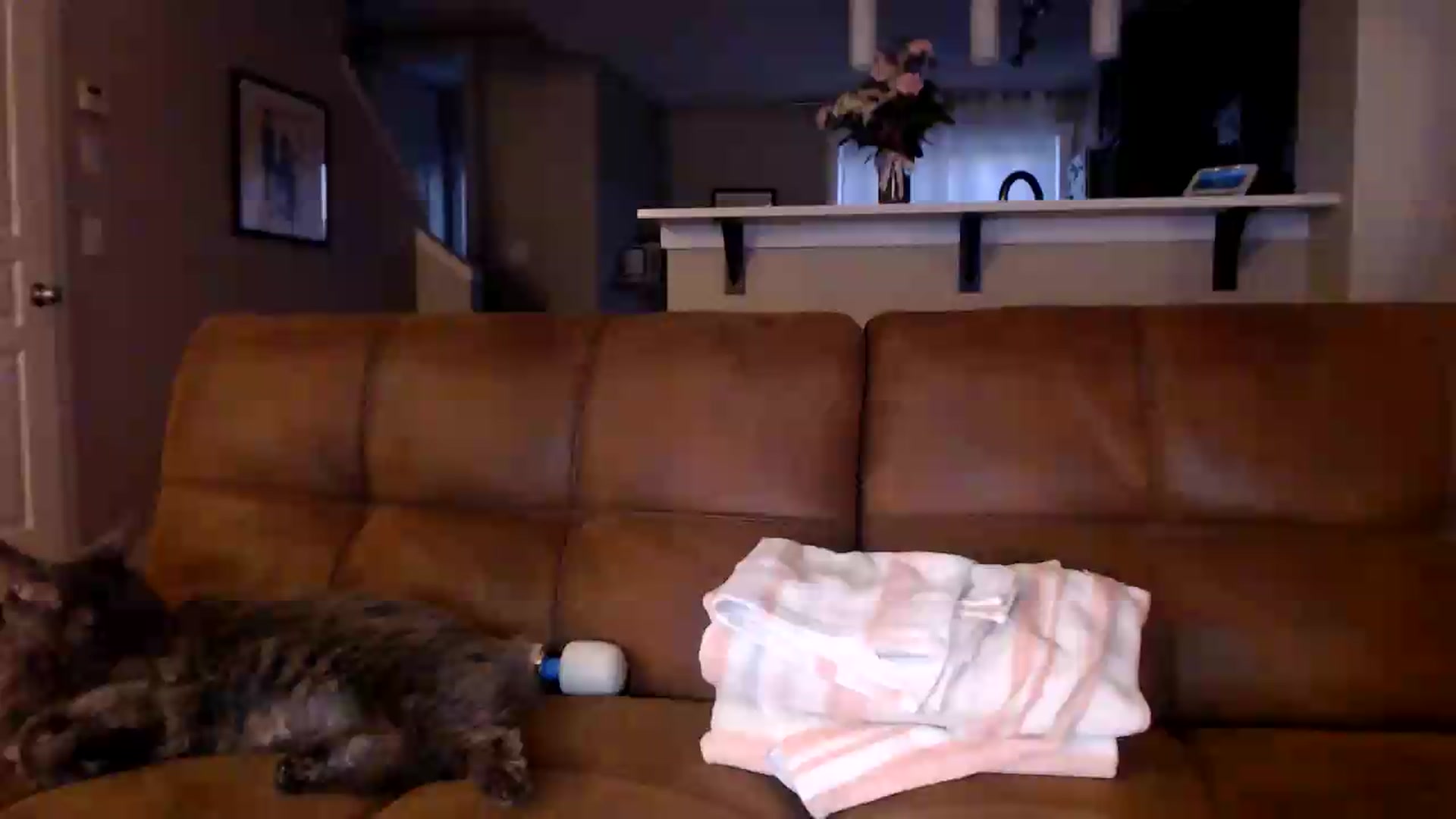 Gallery image thumbnail from AlexisWildest's myfreecams stream on, 08/25/2026, 03:46 image 15 of 20