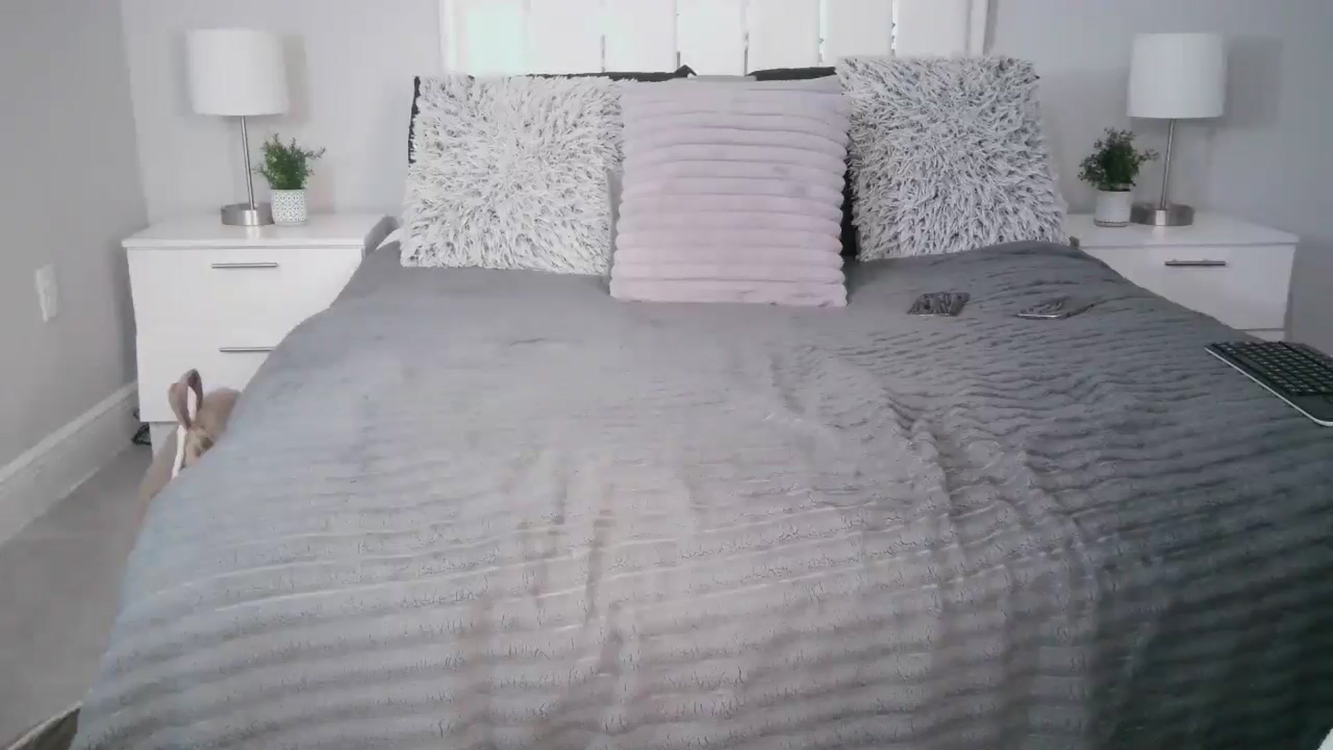 Gallery image thumbnail from Alexis_Amorr's myfreecams stream on, 05/03/2025, 20:14 image 5 of 20