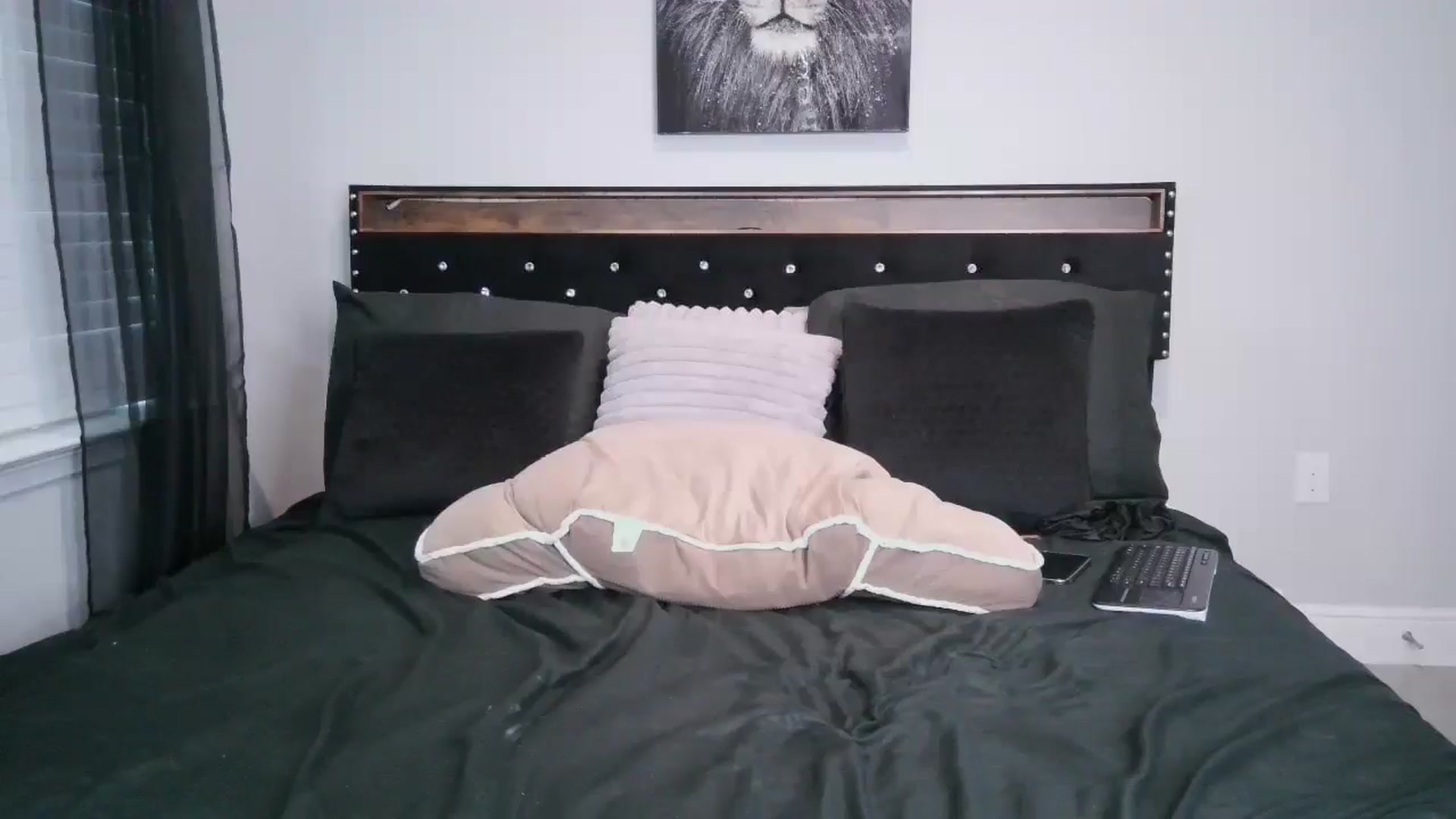 Gallery image thumbnail from Alexis_Amorr's myfreecams stream on, 05/21/2025, 24:36 image 4 of 20