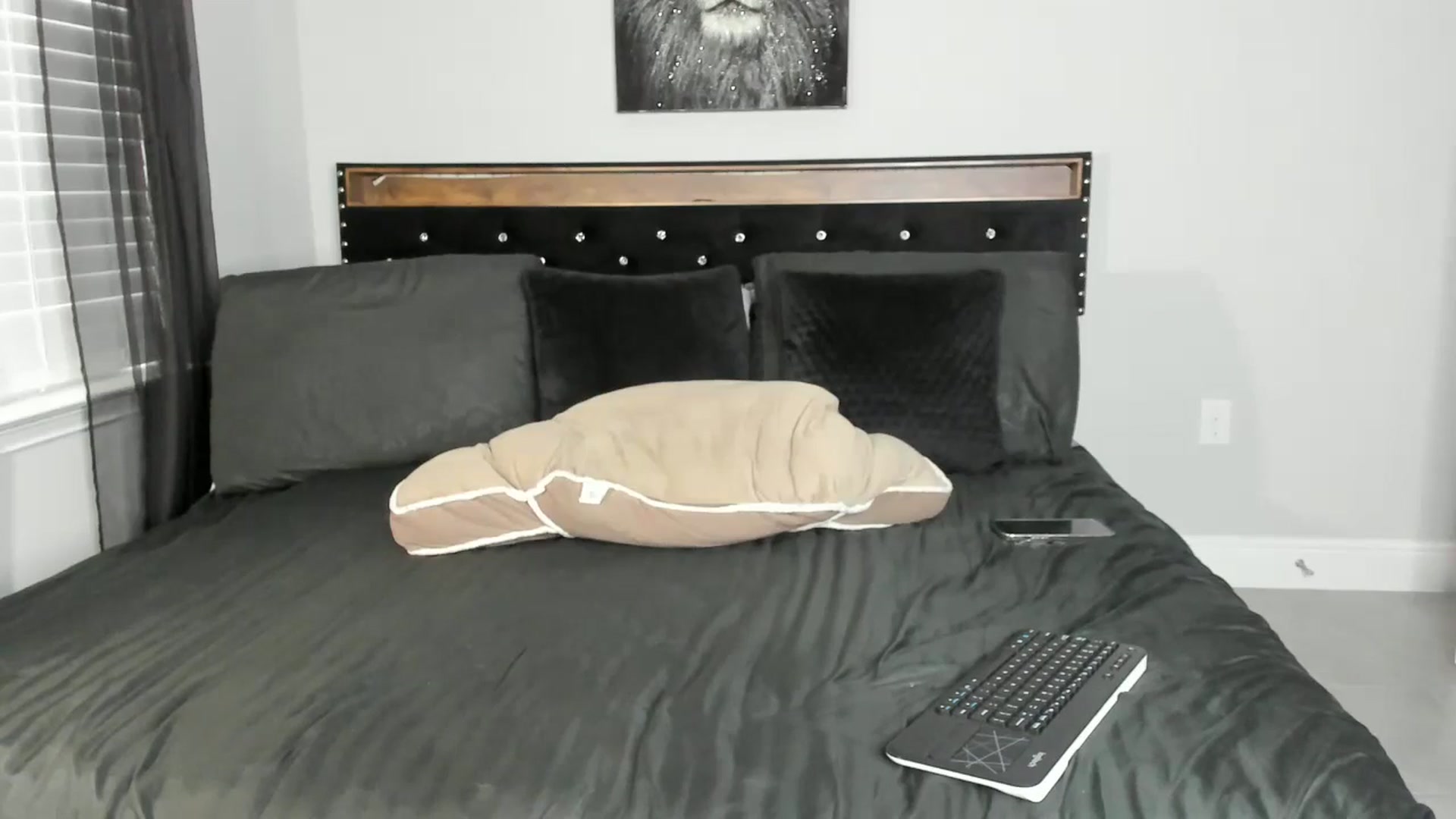 Gallery image thumbnail from Alexis_Amorr's myfreecams stream on, 07/10/2025, 22:27 image 20 of 20