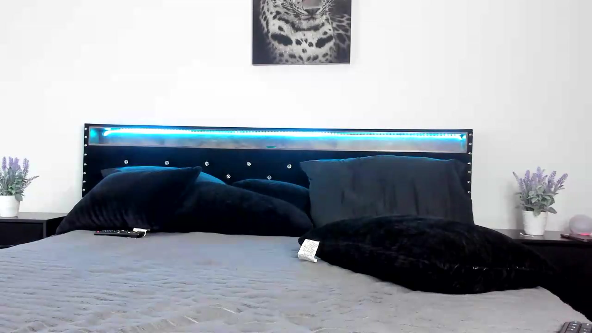 Gallery image thumbnail from Alexis_Amorr's myfreecams stream on, 07/17/2026, 19:05 image 9 of 20