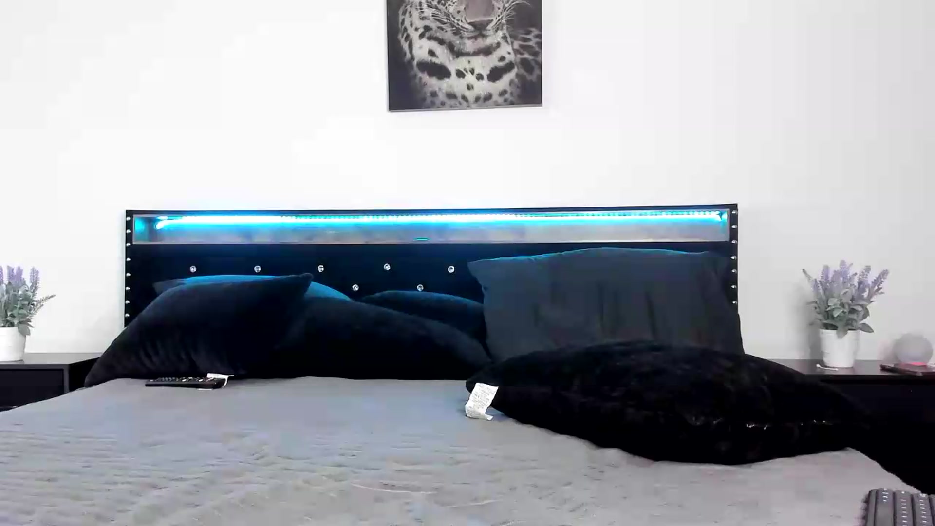 Gallery image thumbnail from Alexis_Amorr's myfreecams stream on, 07/17/2026, 19:05 image 12 of 20