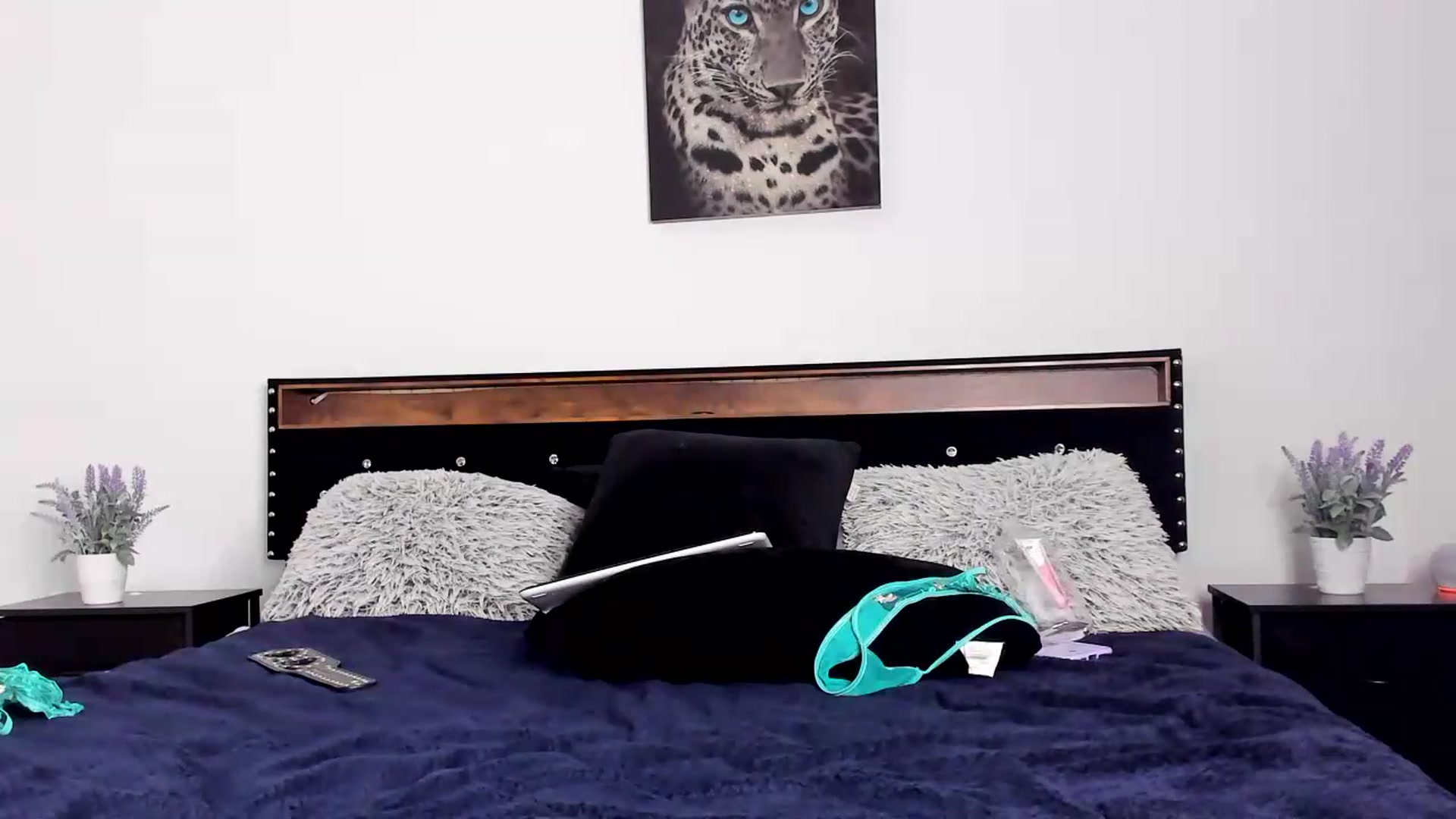 Gallery image thumbnail from Alexis_Amorr's myfreecams stream on, 08/04/2026, 24:47 image 8 of 20