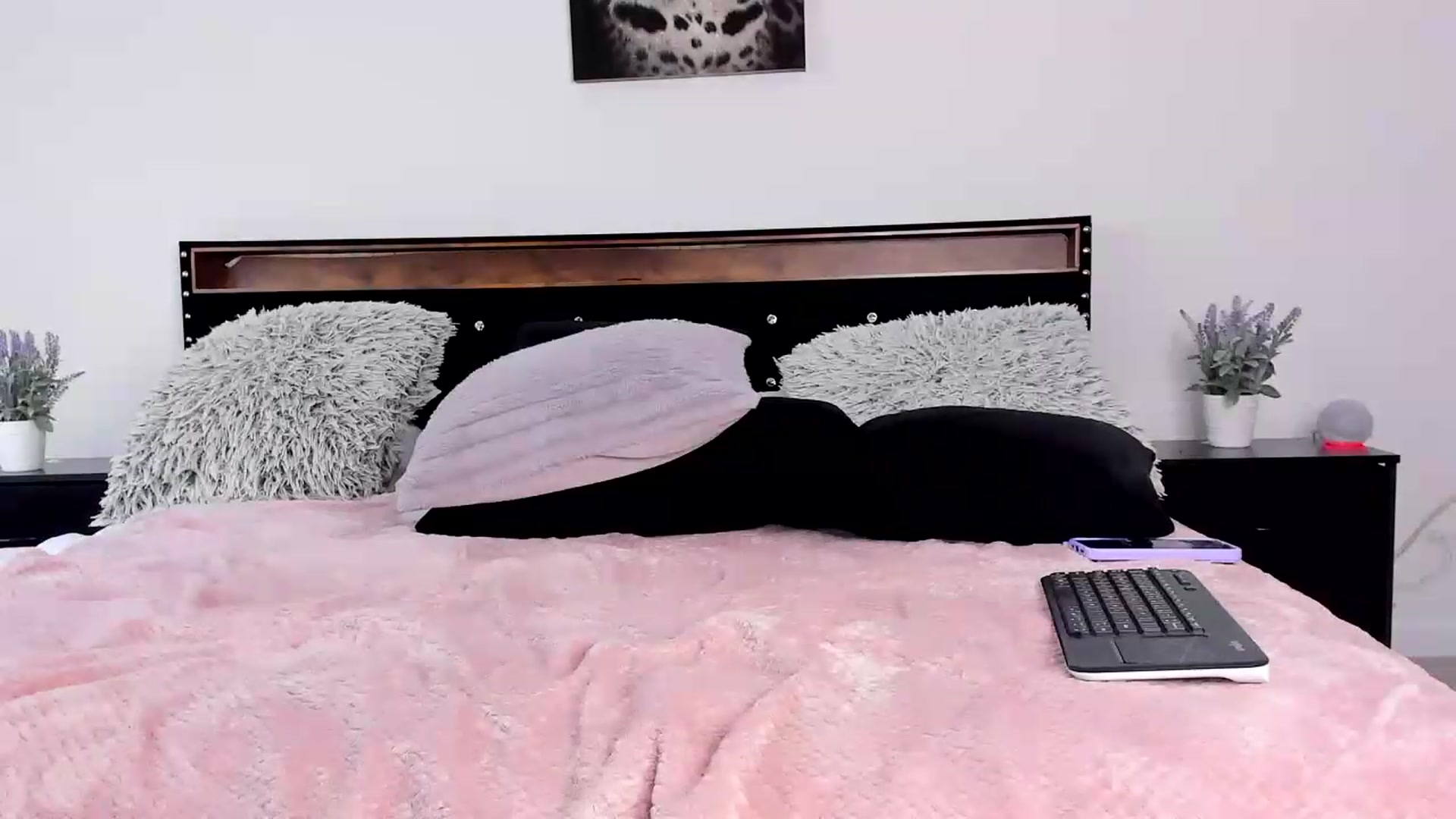Gallery image thumbnail from Alexis_Amorr's myfreecams stream on, 08/17/2026, 19:53 image 14 of 20