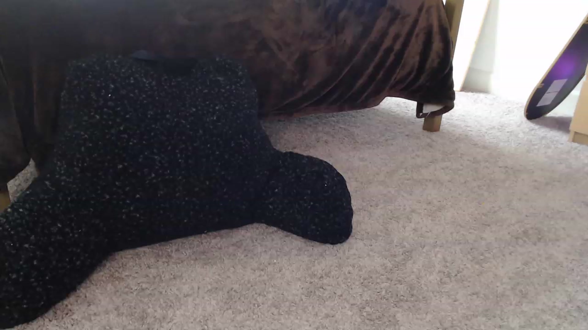 Gallery image thumbnail from Alexis_Anne's myfreecams stream on, 01/21/2023, 18:49 image 15 of 20