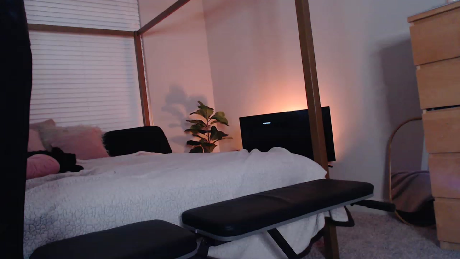 Gallery image thumbnail from Alexis_Anne's myfreecams stream on, 01/31/2023, 02:23 image 12 of 20