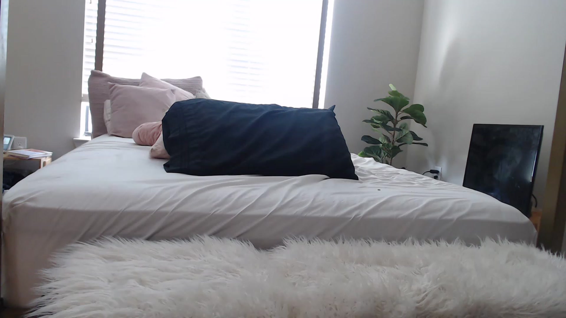 Gallery image thumbnail from Alexis_Anne's myfreecams stream on, 02/01/2023, 19:20 image 1 of 20