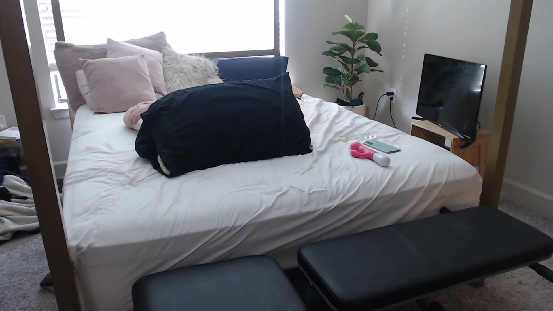 Gallery image thumbnail from Alexis_Anne's myfreecams stream on, 02/01/2023, 19:20 image 17 of 20