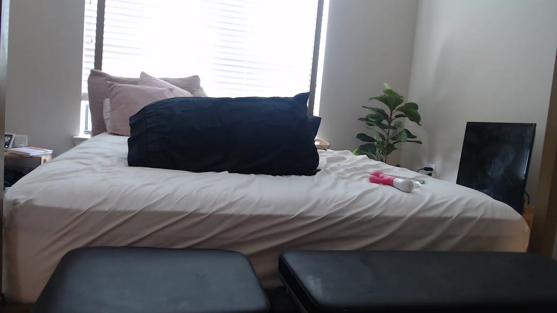 Gallery image thumbnail from Alexis_Anne's myfreecams stream on, 02/01/2023, 19:20 image 7 of 20