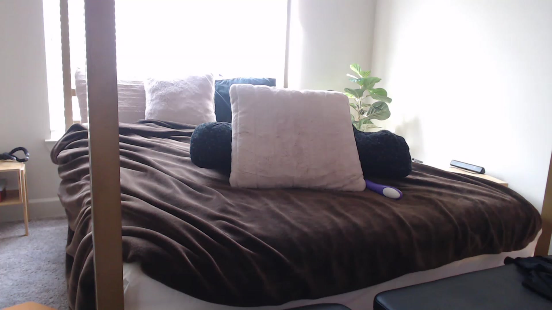 Gallery image thumbnail from Alexis_Anne's myfreecams stream on, 02/17/2023, 18:58 image 7 of 20