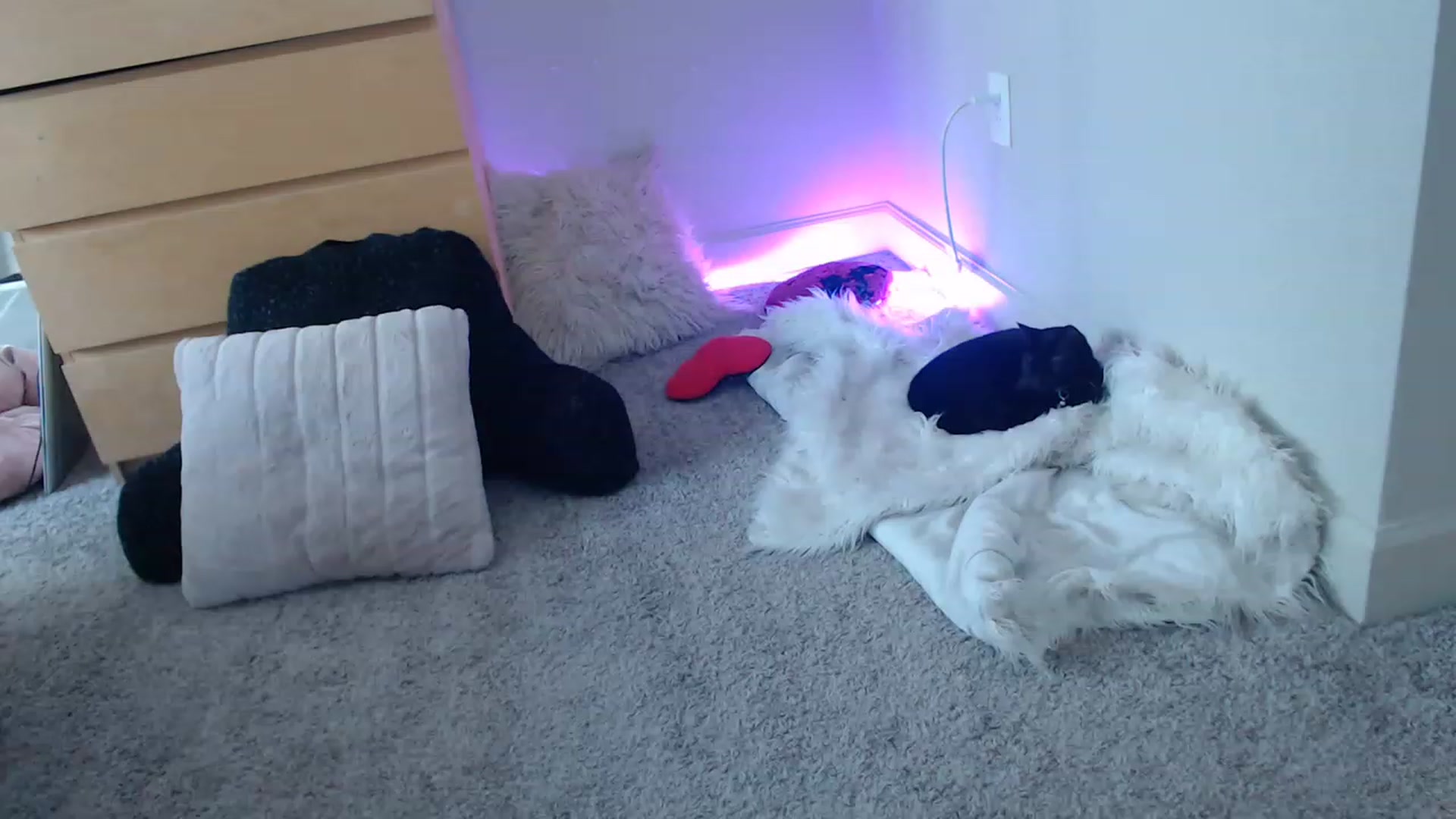 Gallery image thumbnail from Alexis_Anne's myfreecams stream on, 02/17/2023, 18:58 image 16 of 20