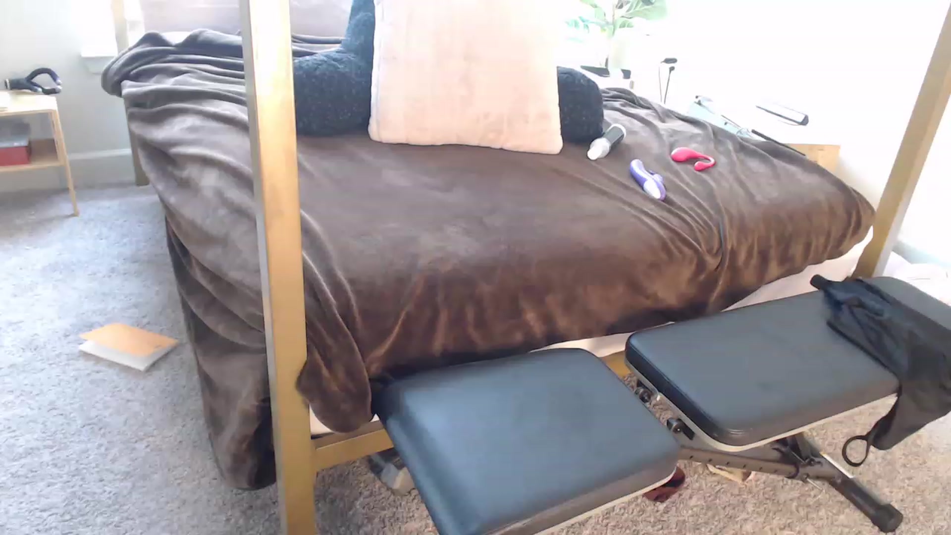 Gallery image thumbnail from Alexis_Anne's myfreecams stream on, 02/17/2023, 18:58 image 14 of 20