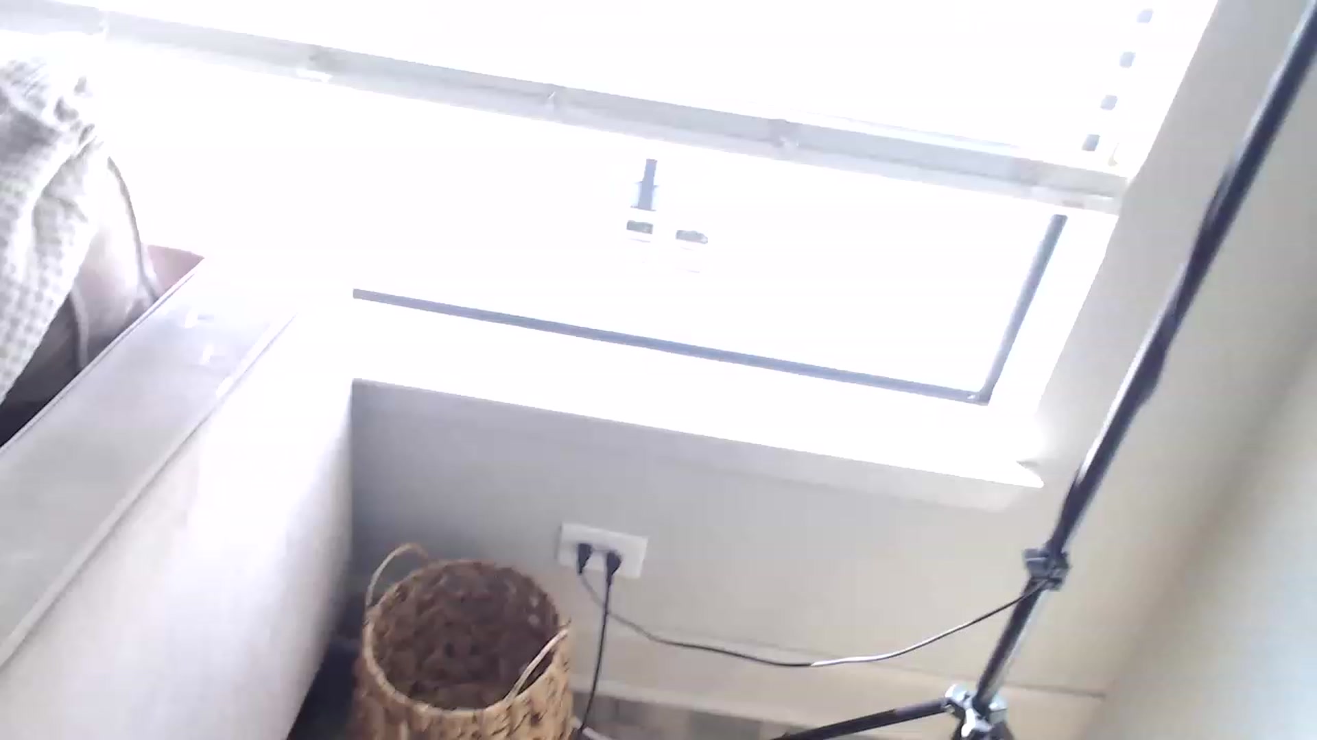 Gallery image thumbnail from Alexis_Anne's myfreecams stream on, 02/18/2023, 21:07 image 5 of 20