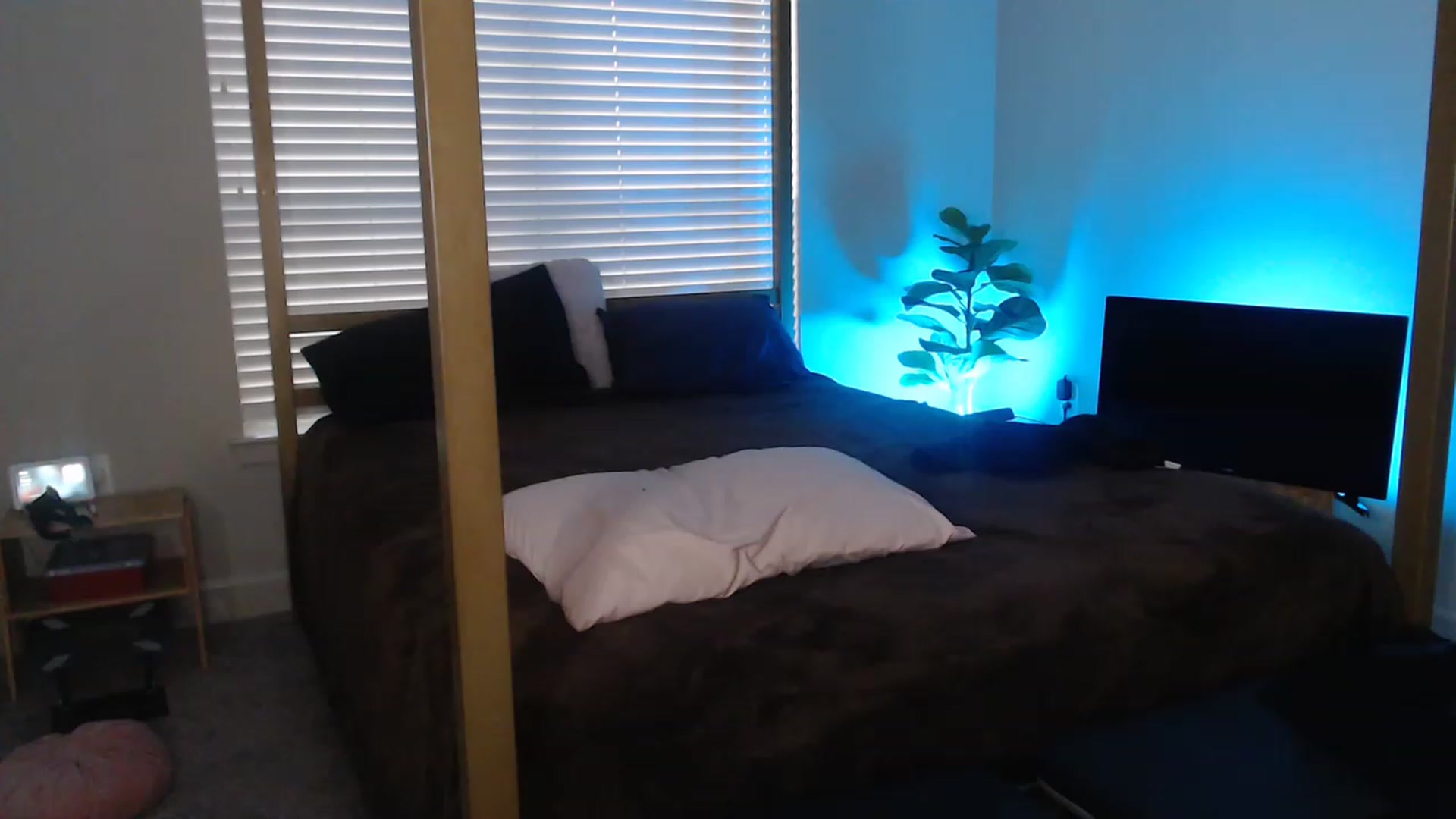 Gallery image thumbnail from Alexis_Anne's myfreecams stream on, 02/26/2023, 24:27 image 5 of 20