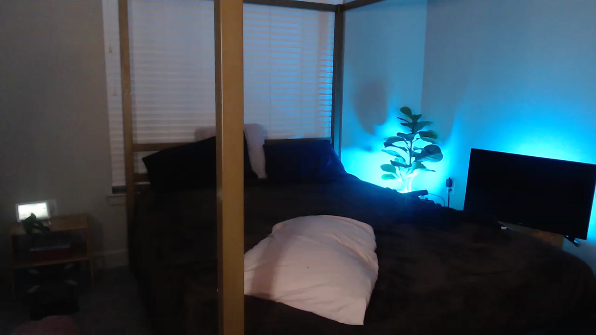 Gallery image thumbnail from Alexis_Anne's myfreecams stream on, 02/26/2023, 24:27 image 11 of 20