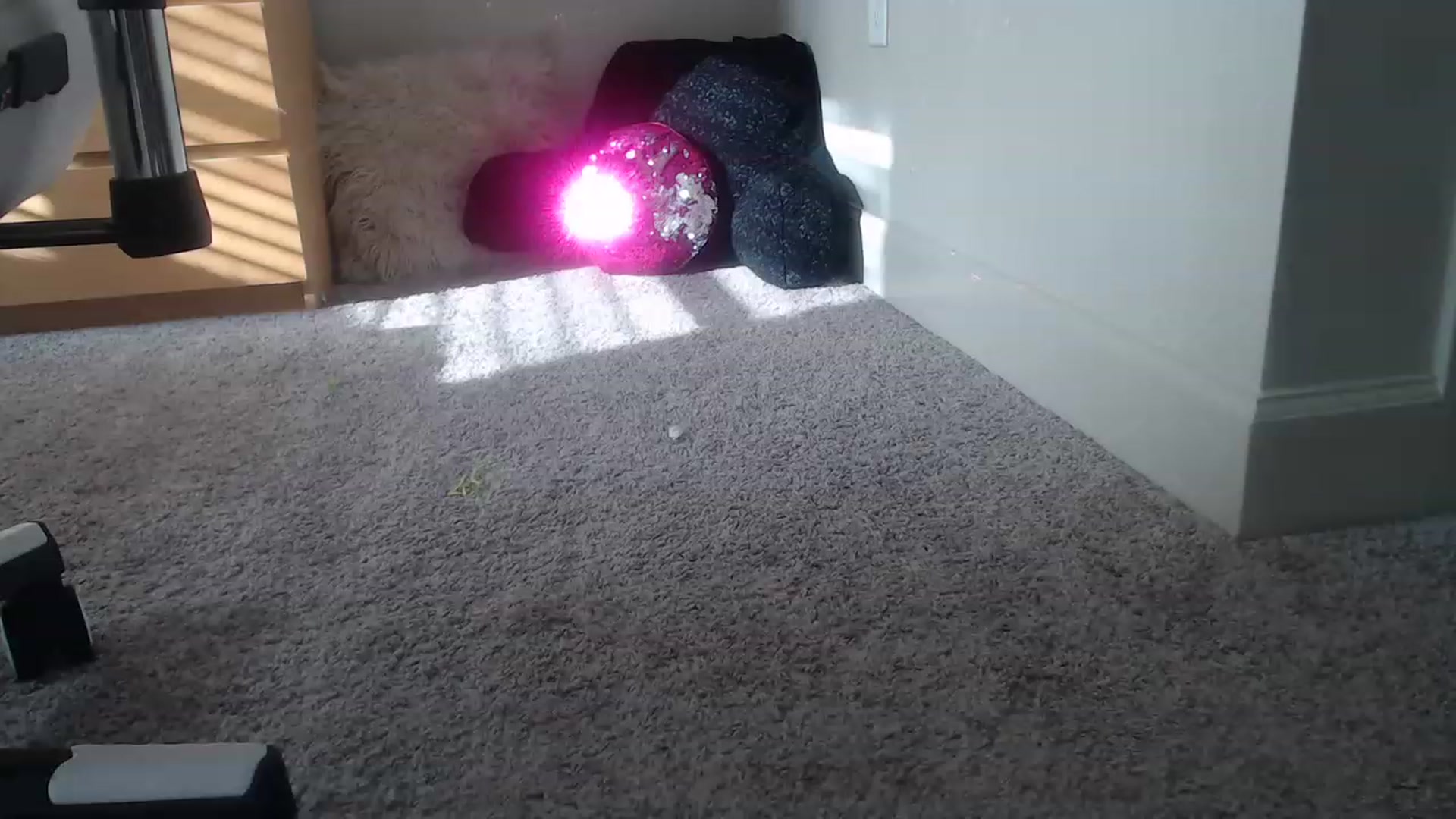 Gallery image thumbnail from Alexis_Anne's myfreecams stream on, 03/01/2023, 22:05 image 12 of 20