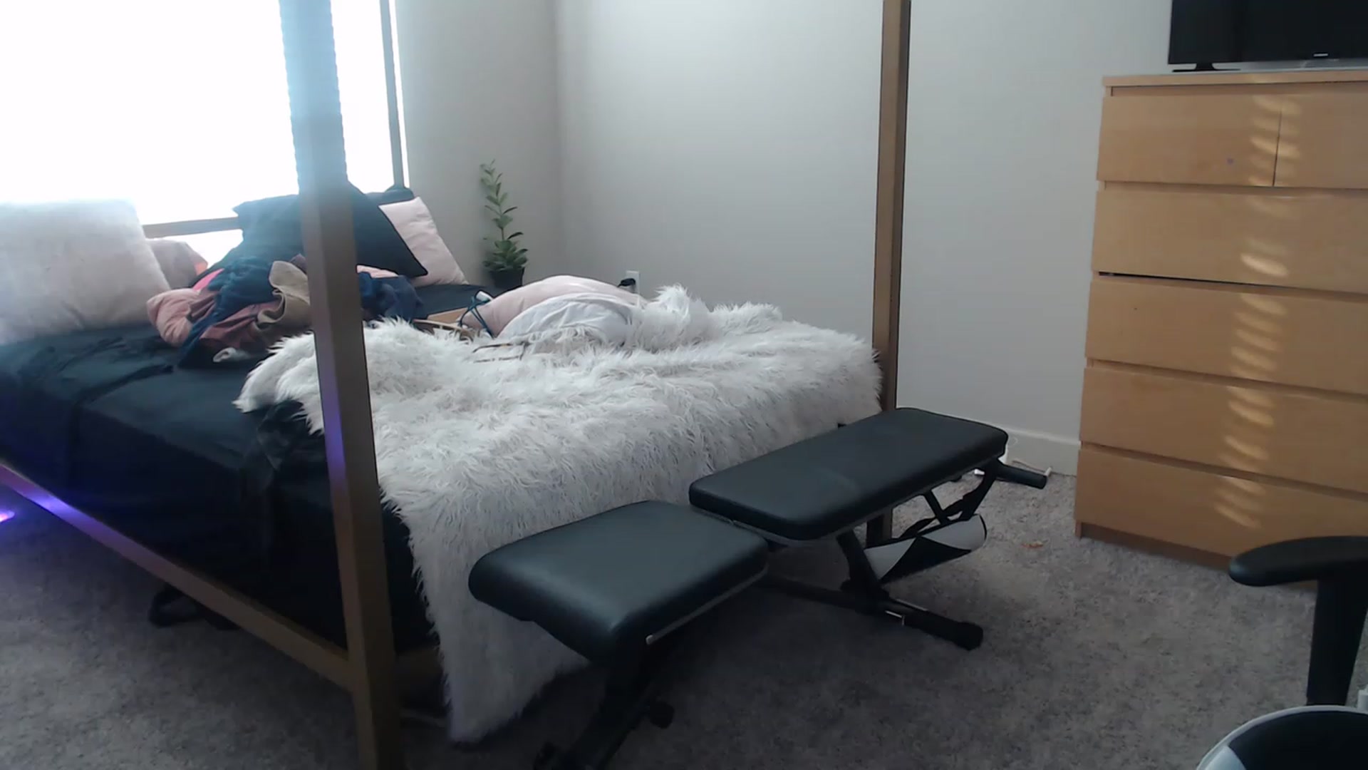 Gallery image thumbnail from Alexis_Anne's myfreecams stream on, 03/03/2023, 22:10 image 18 of 20