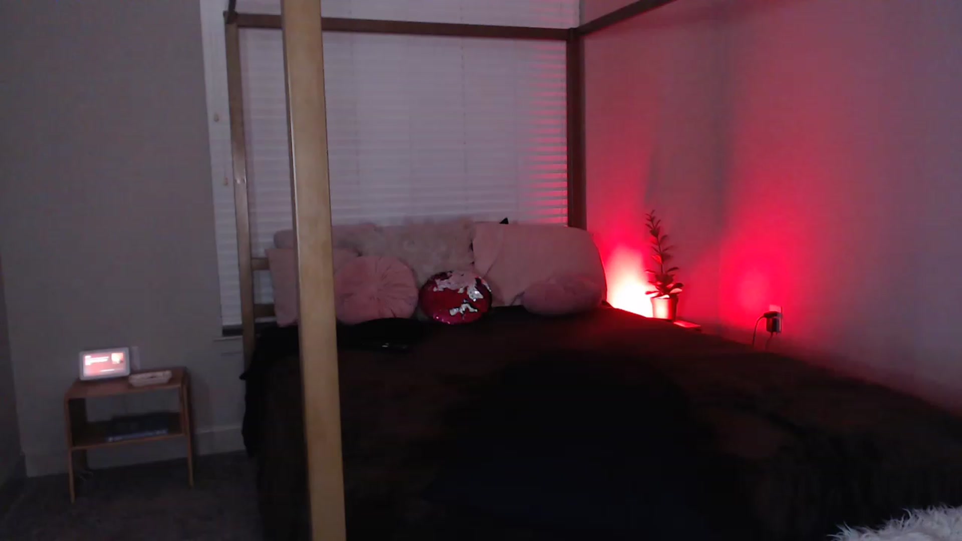 Gallery image thumbnail from Alexis_Anne's myfreecams stream on, 03/08/2023, 24:57 image 7 of 20