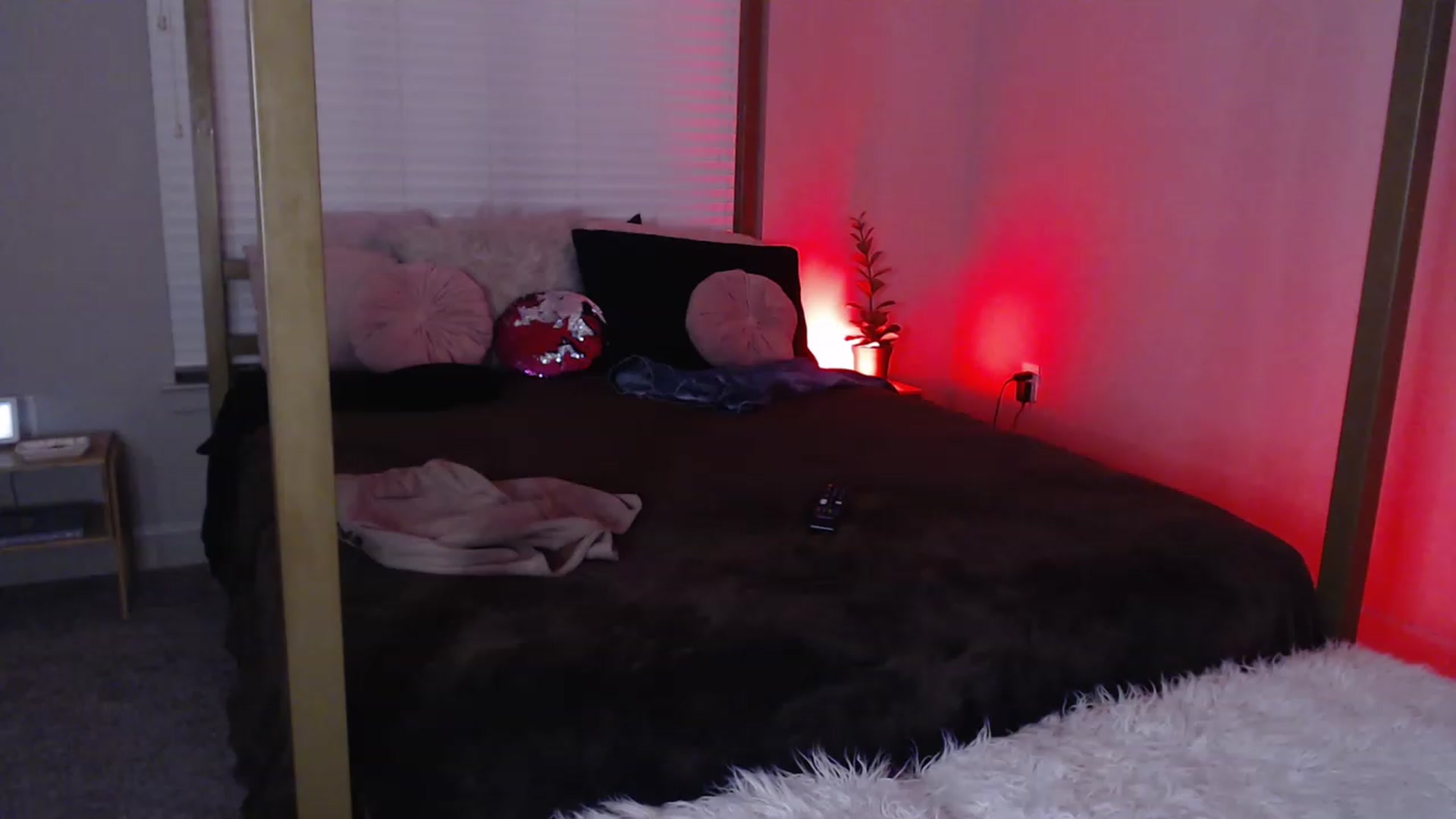 Gallery image thumbnail from Alexis_Anne's myfreecams stream on, 03/08/2023, 24:57 image 5 of 20