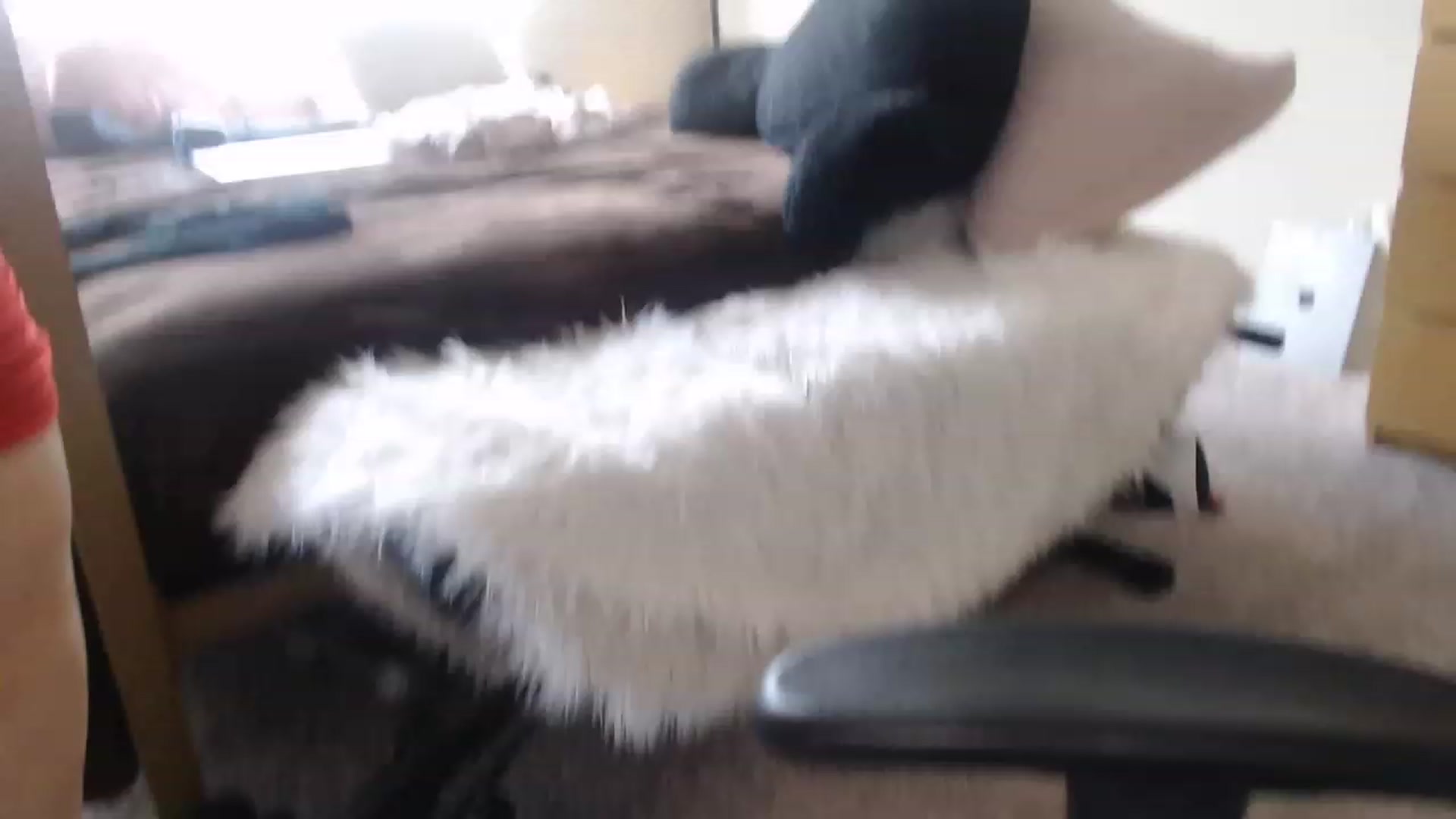 Gallery image thumbnail from Alexis_Anne's myfreecams stream on, 03/13/2023, 18:42 image 10 of 20