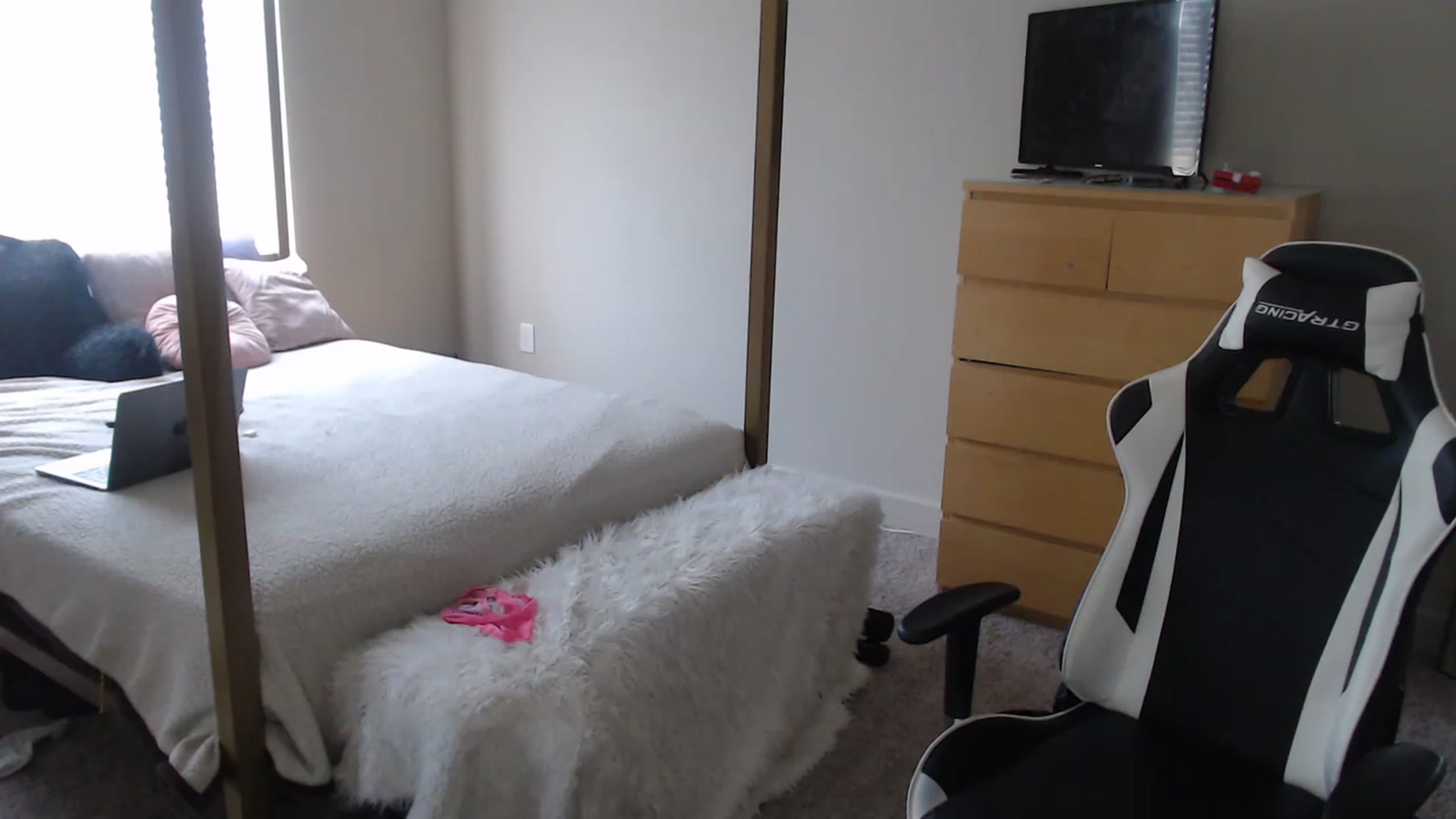 Gallery image thumbnail from Alexis_Anne's myfreecams stream on, 03/23/2023, 18:39 image 11 of 20