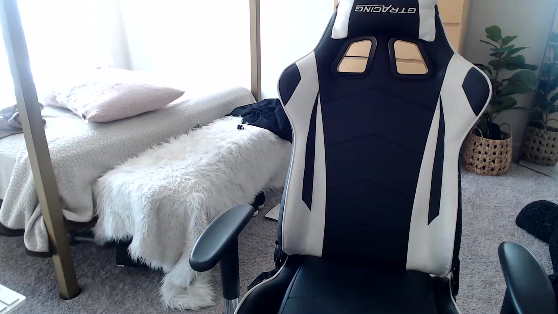 Gallery image thumbnail from Alexis_Anne's myfreecams stream on, 03/25/2023, 20:11 image 3 of 20