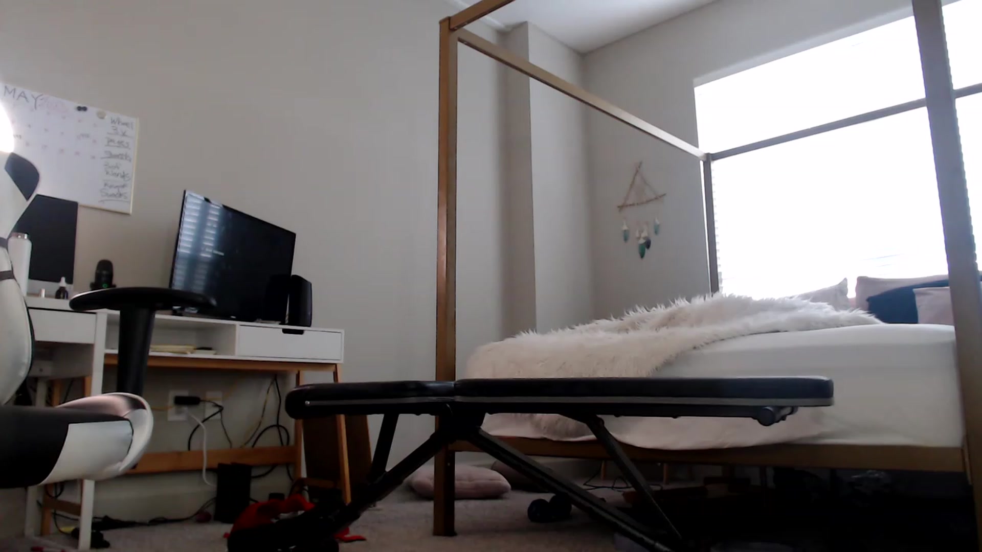 Gallery image thumbnail from Alexis_Anne's myfreecams stream on, 05/14/2023, 24:06 image 11 of 20