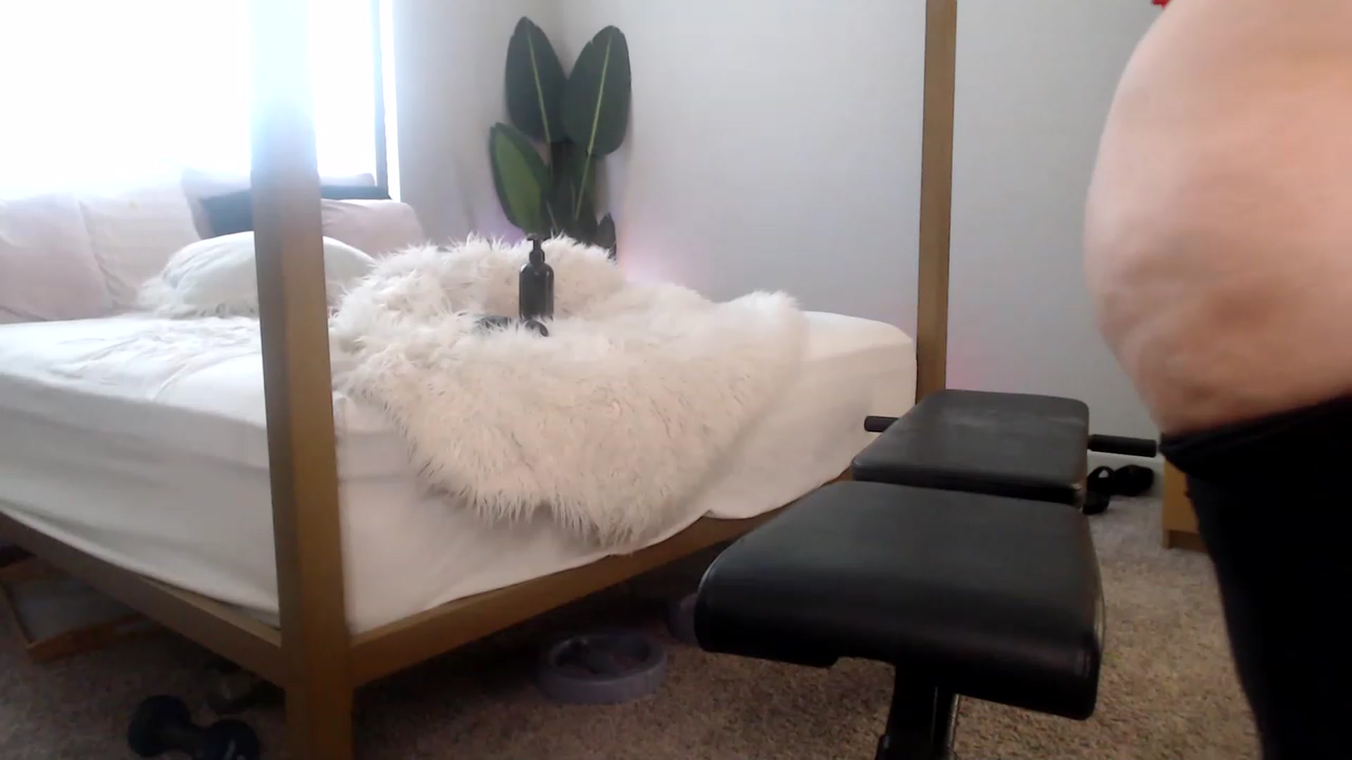 Gallery image thumbnail from Alexis_Anne's myfreecams stream on, 05/14/2023, 24:06 image 15 of 20