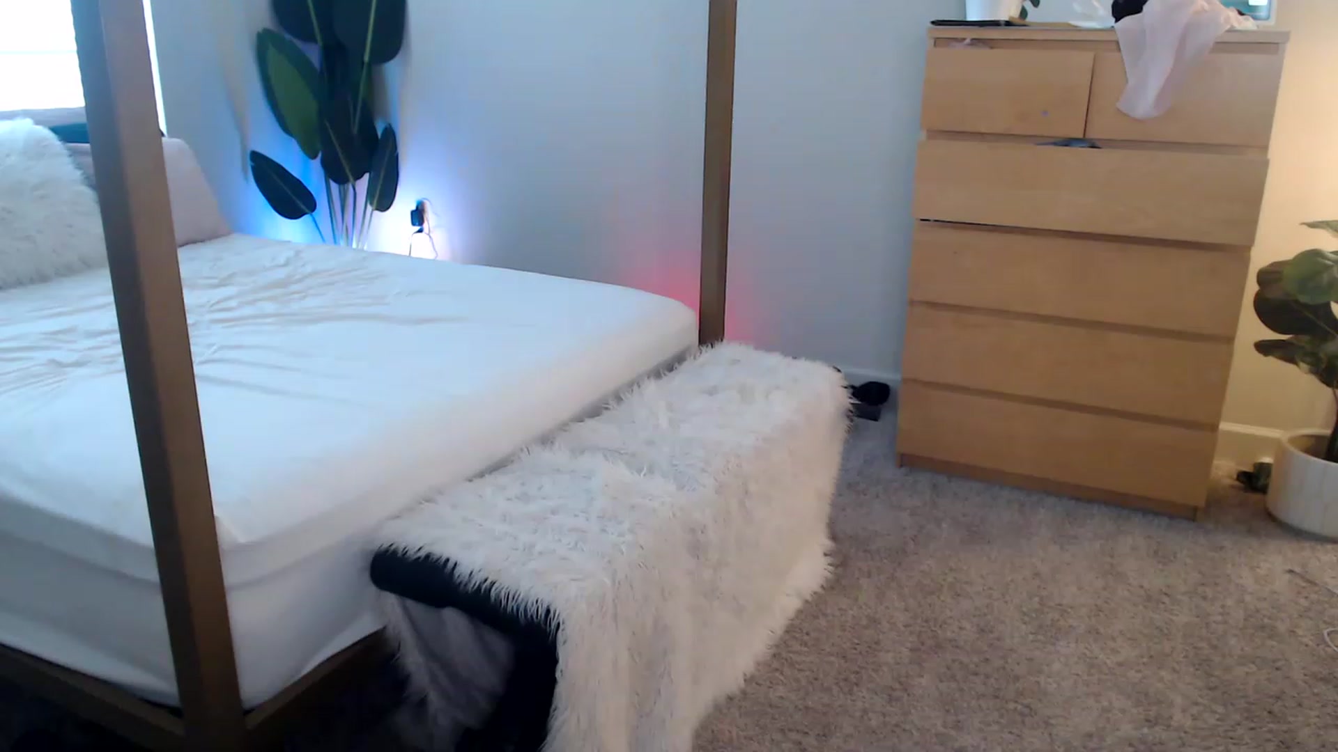 Gallery image thumbnail from Alexis_Anne's myfreecams stream on, 05/14/2023, 24:06 image 9 of 20