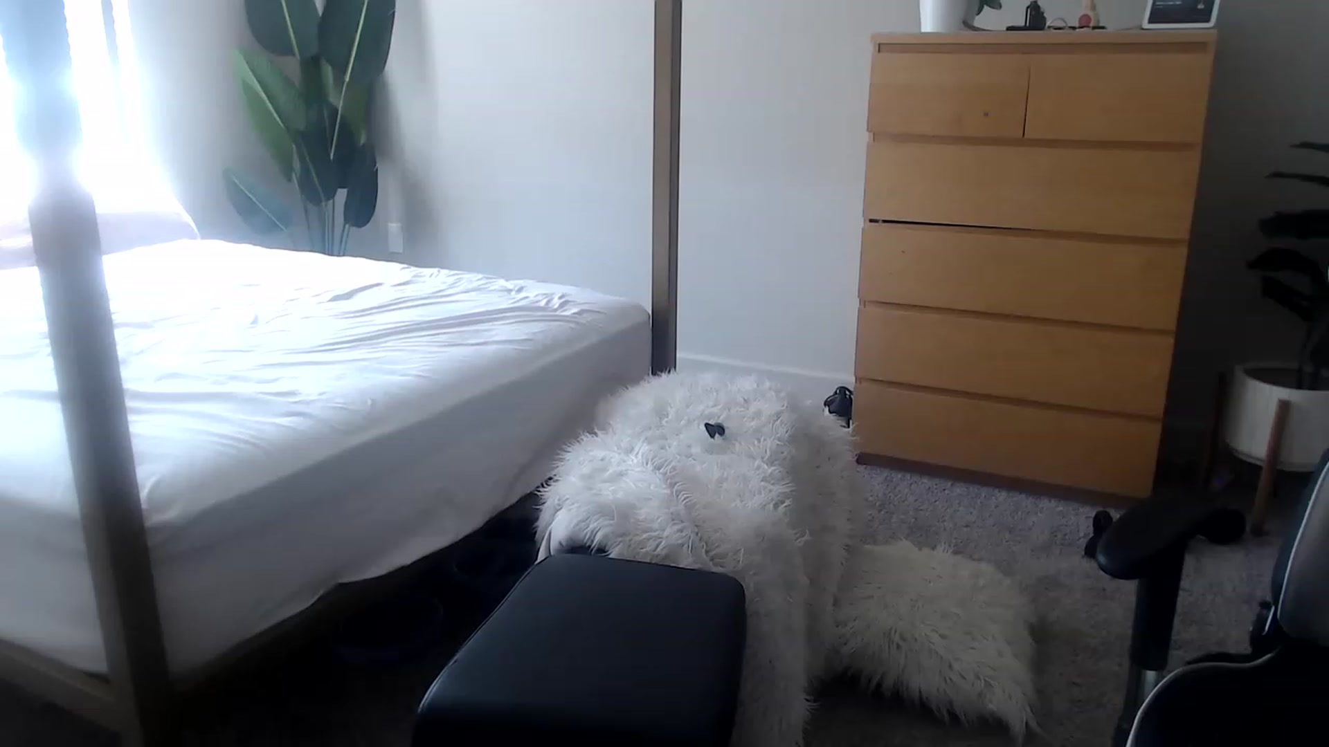 Gallery image thumbnail from Alexis_Anne's myfreecams stream on, 05/27/2023, 19:08 image 19 of 20