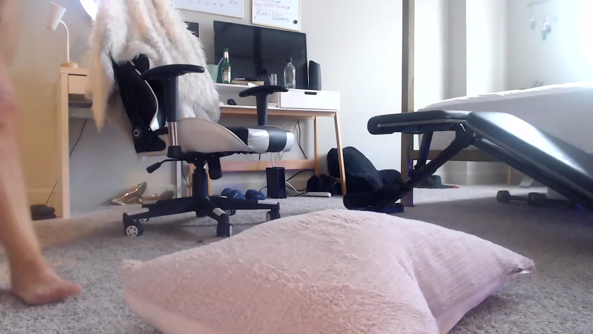 Gallery image thumbnail from Alexis_Anne's myfreecams stream on, 06/17/2023, 21:07 image 12 of 20