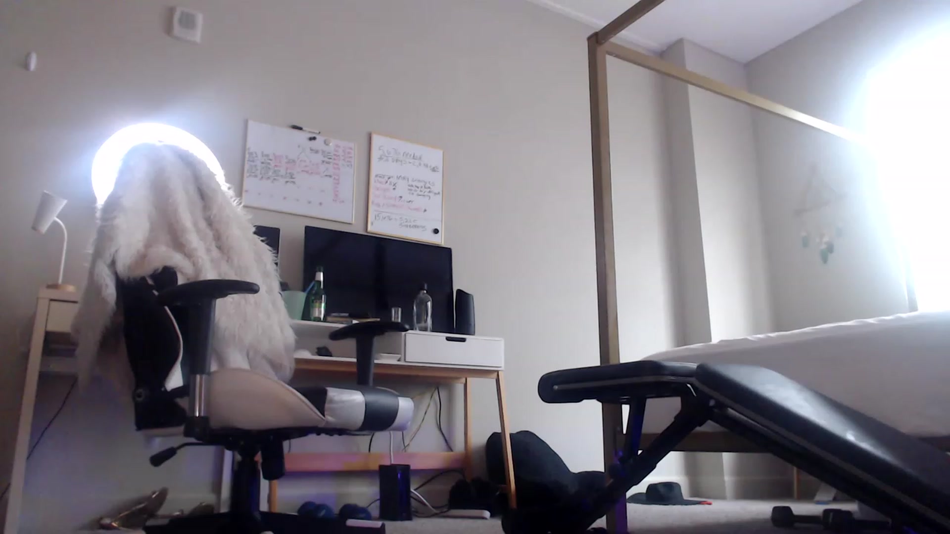 Gallery image thumbnail from Alexis_Anne's myfreecams stream on, 06/17/2023, 21:07 image 10 of 20