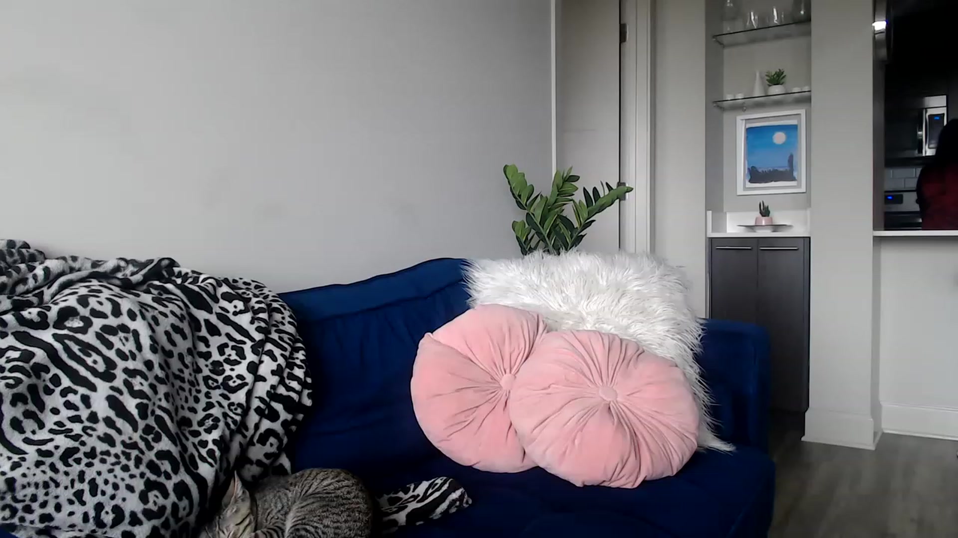 Gallery image thumbnail from Alexis_Anne's myfreecams stream on, 06/20/2023, 21:03 image 16 of 20