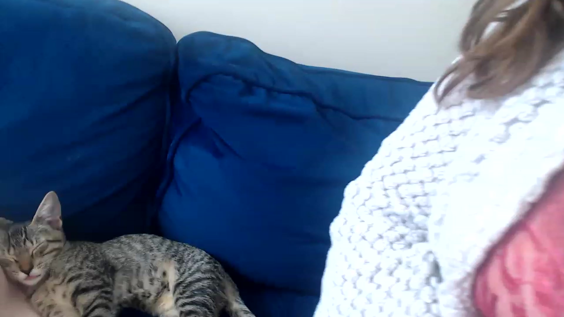 Gallery image thumbnail from Alexis_Anne's myfreecams stream on, 06/21/2023, 22:38 image 12 of 20