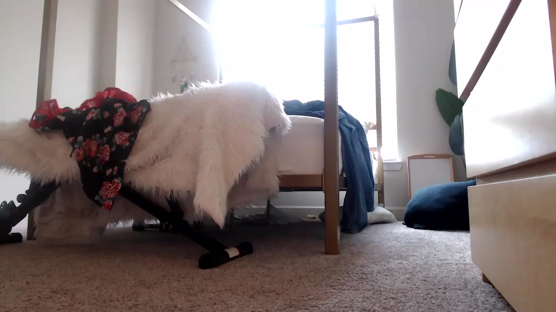 Gallery image thumbnail from Alexis_Anne's myfreecams stream on, 06/24/2023, 16:53 image 8 of 20
