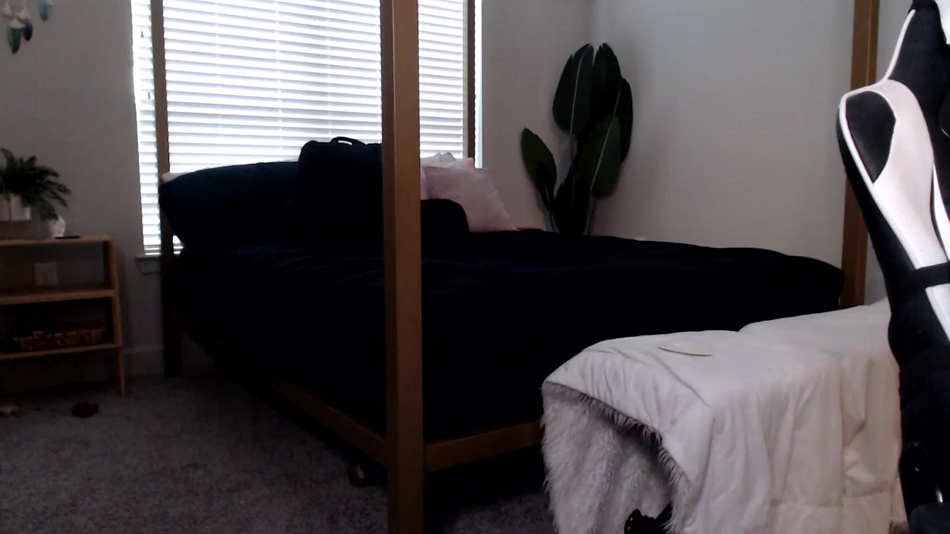 Gallery image thumbnail from Alexis_Anne's myfreecams stream on, 07/07/2023, 23:27 image 14 of 20