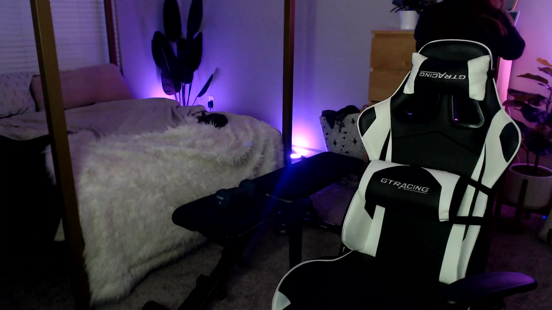 Gallery image thumbnail from Alexis_Anne's myfreecams stream on, 07/20/2023, 01:10 image 13 of 20