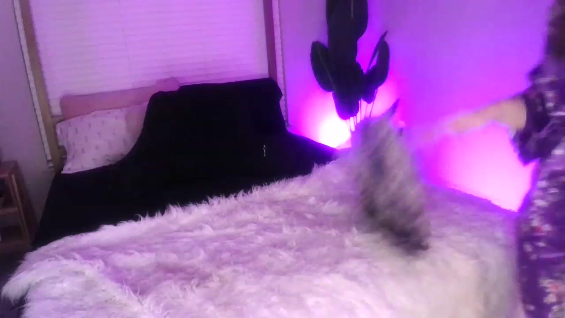 Gallery image thumbnail from Alexis_Anne's myfreecams stream on, 07/27/2023, 06:04 image 9 of 20