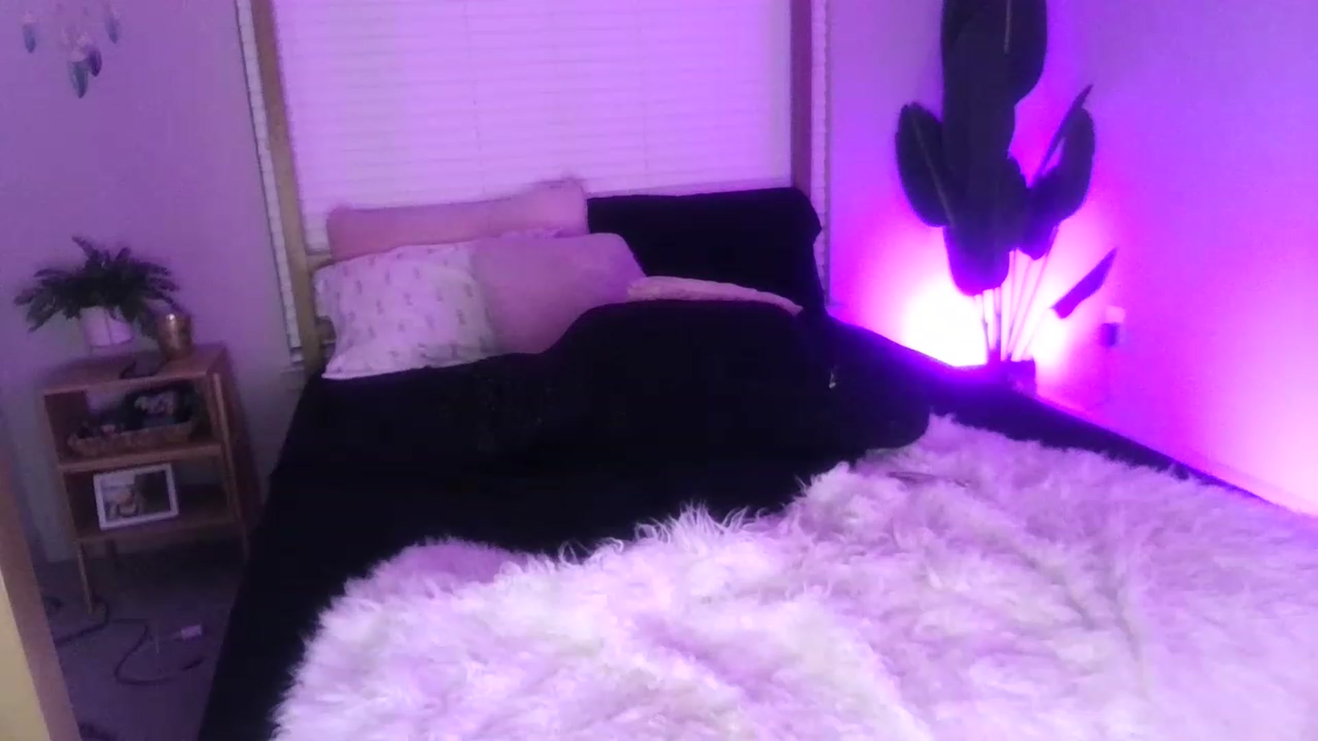 Gallery image thumbnail from Alexis_Anne's myfreecams stream on, 07/27/2023, 06:04 image 14 of 20