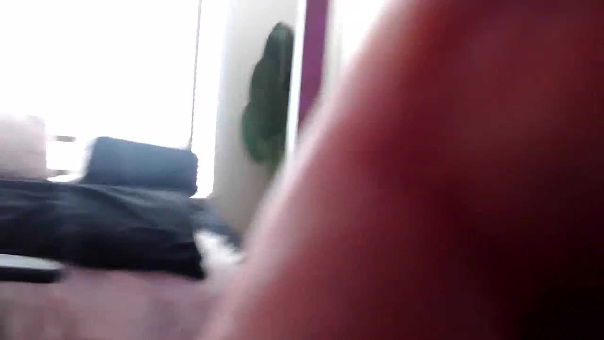 Gallery image thumbnail from Alexis_Anne's myfreecams stream on, 07/30/2023, 20:01 image 4 of 20