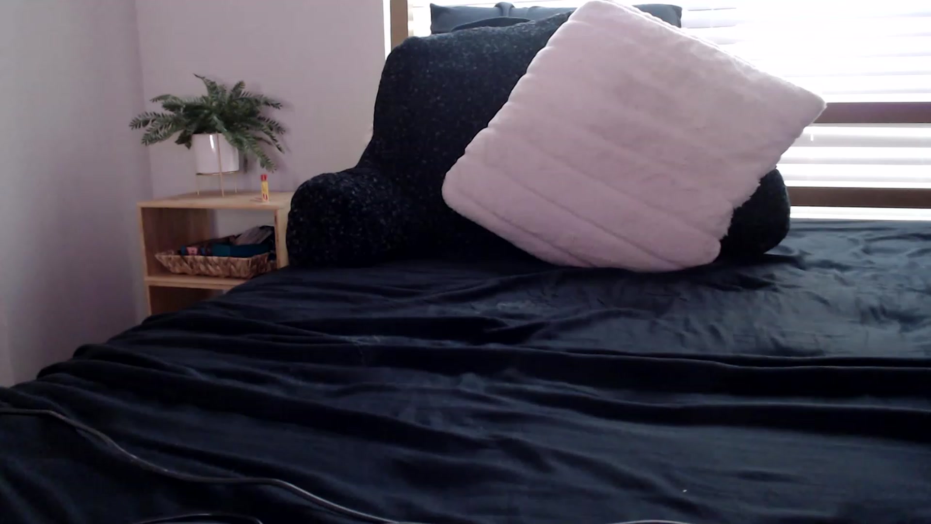 Gallery image thumbnail from Alexis_Anne's myfreecams stream on, 08/05/2023, 24:29 image 18 of 20