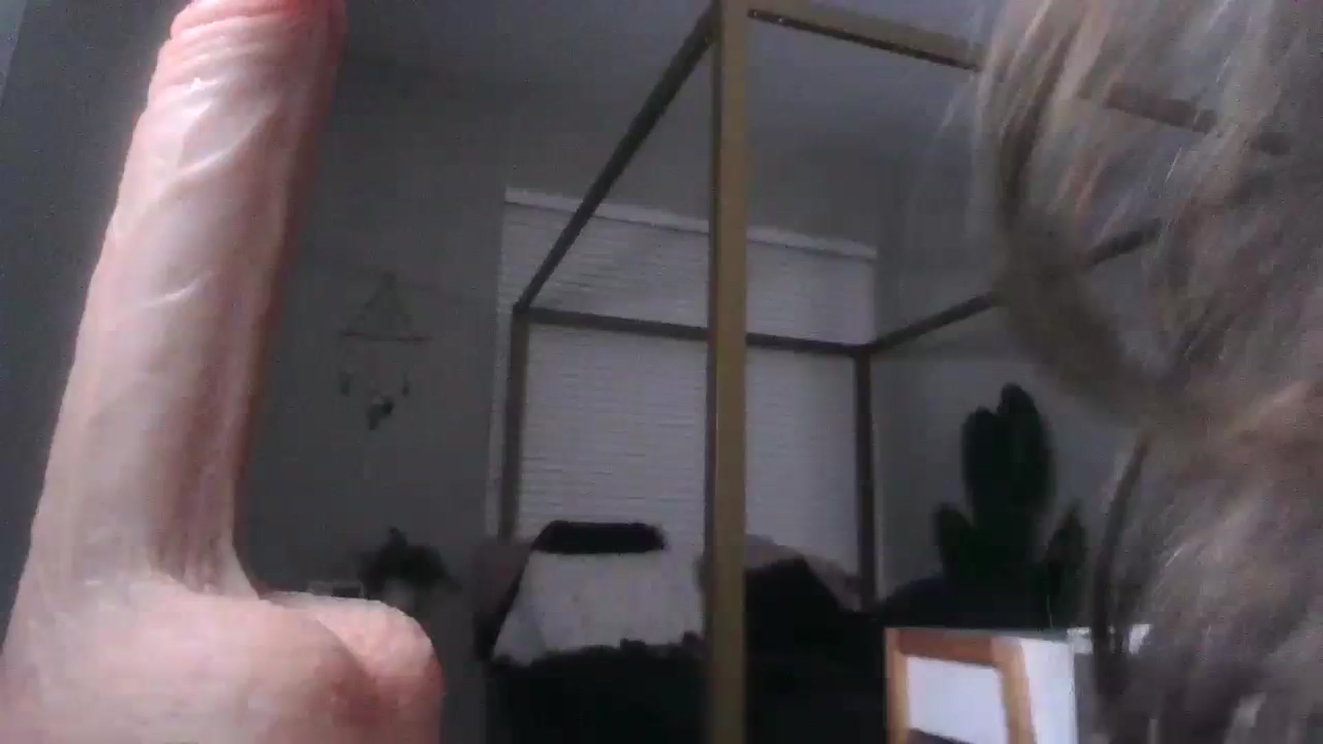 Gallery image thumbnail from Alexis_Anne's myfreecams stream on, 08/20/2023, 02:10 image 1 of 20