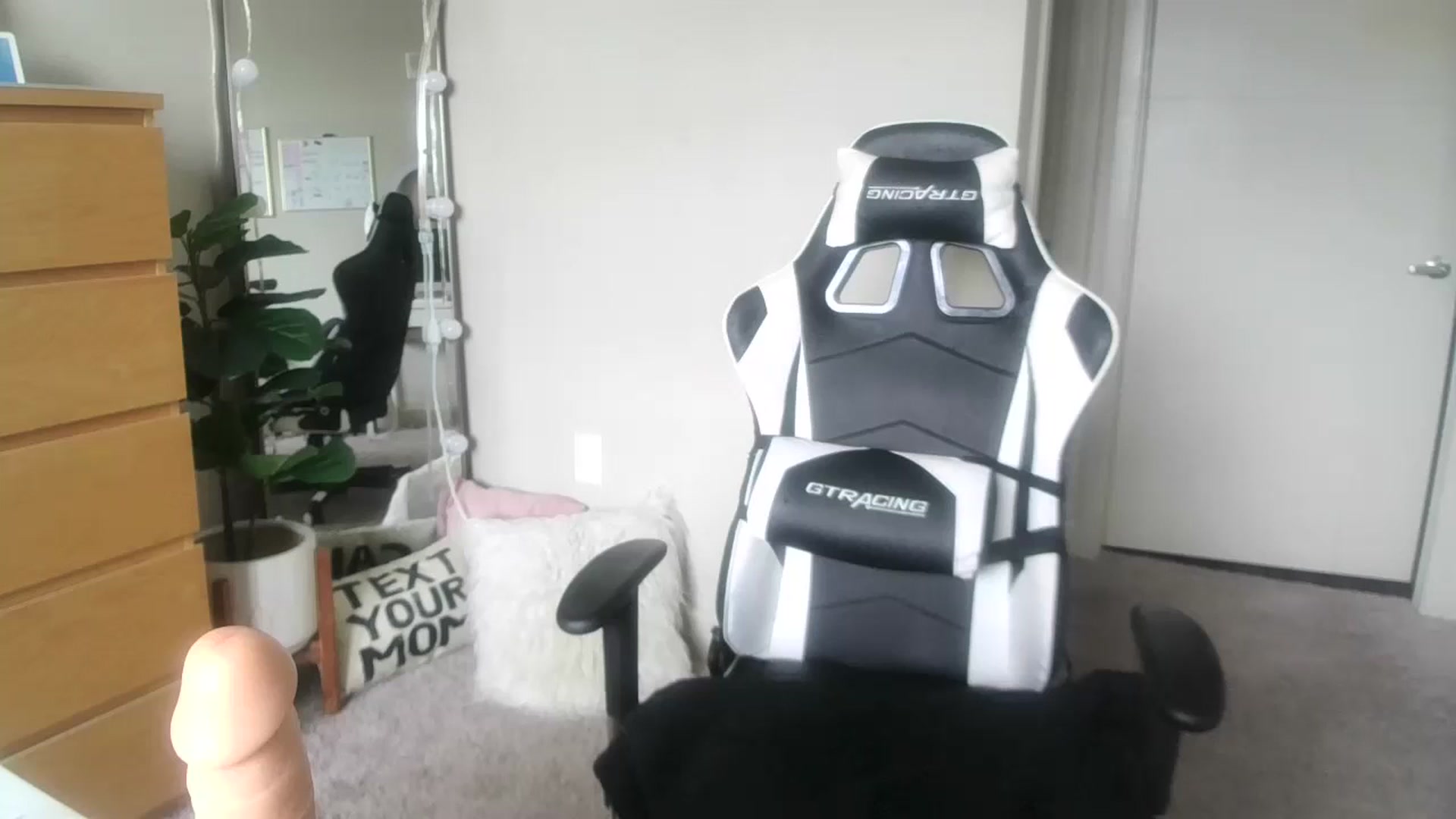 Gallery image thumbnail from Alexis_Anne's myfreecams stream on, 08/31/2023, 18:35 image 20 of 20